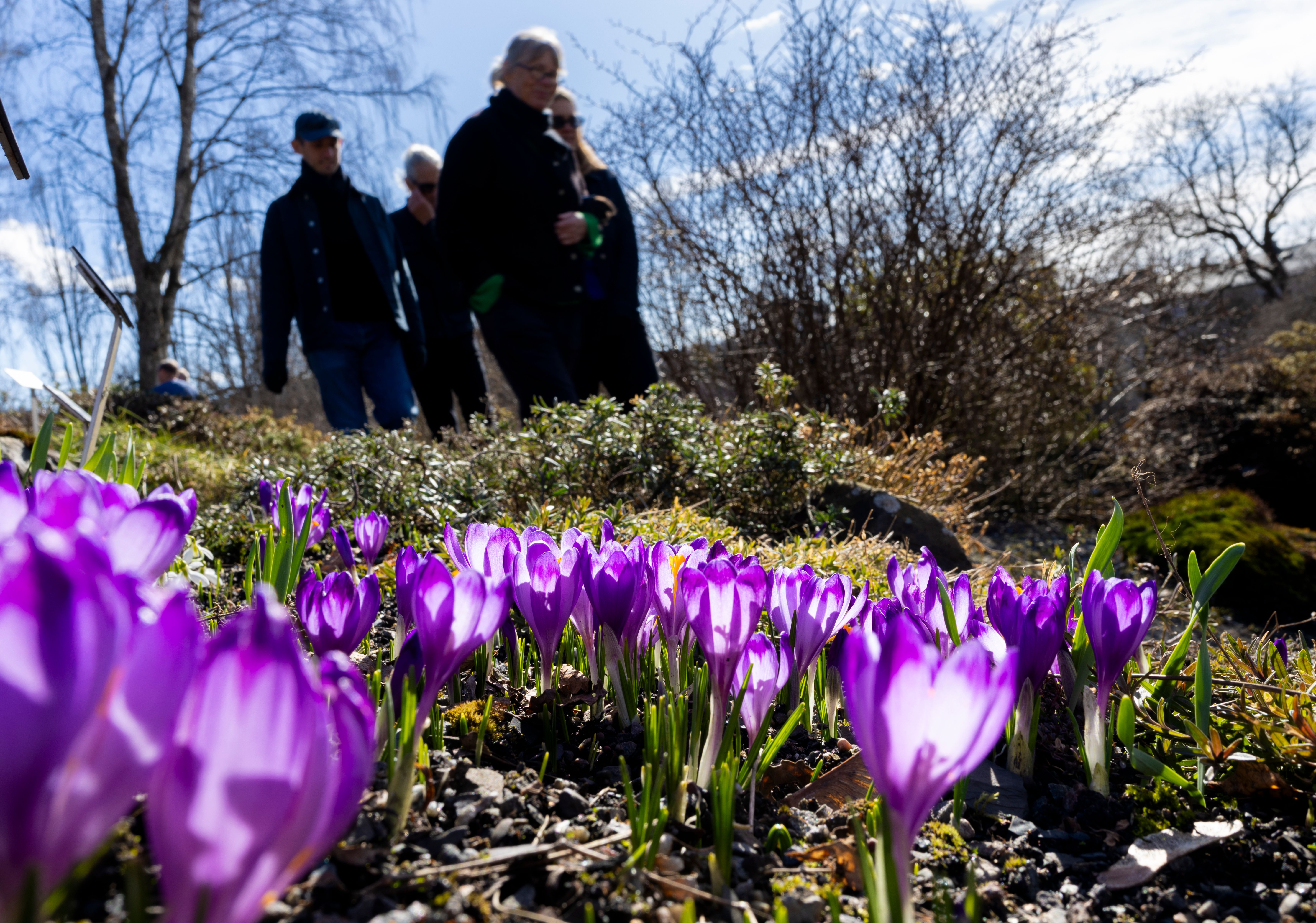 Dette skjer i Oslo i helgen
