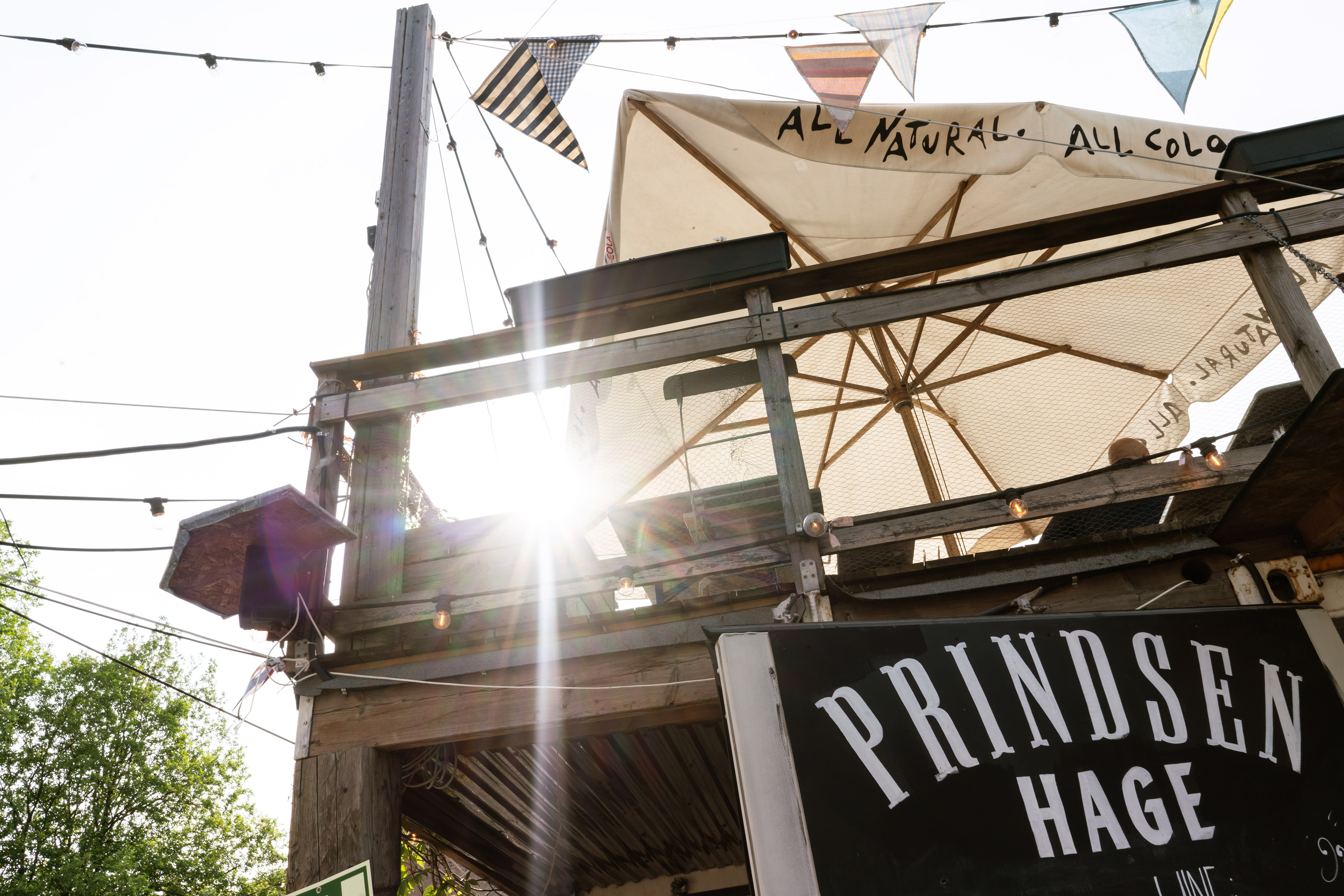 Fest ved Tøyen torg, eller få lættis i Prindsen Hage!