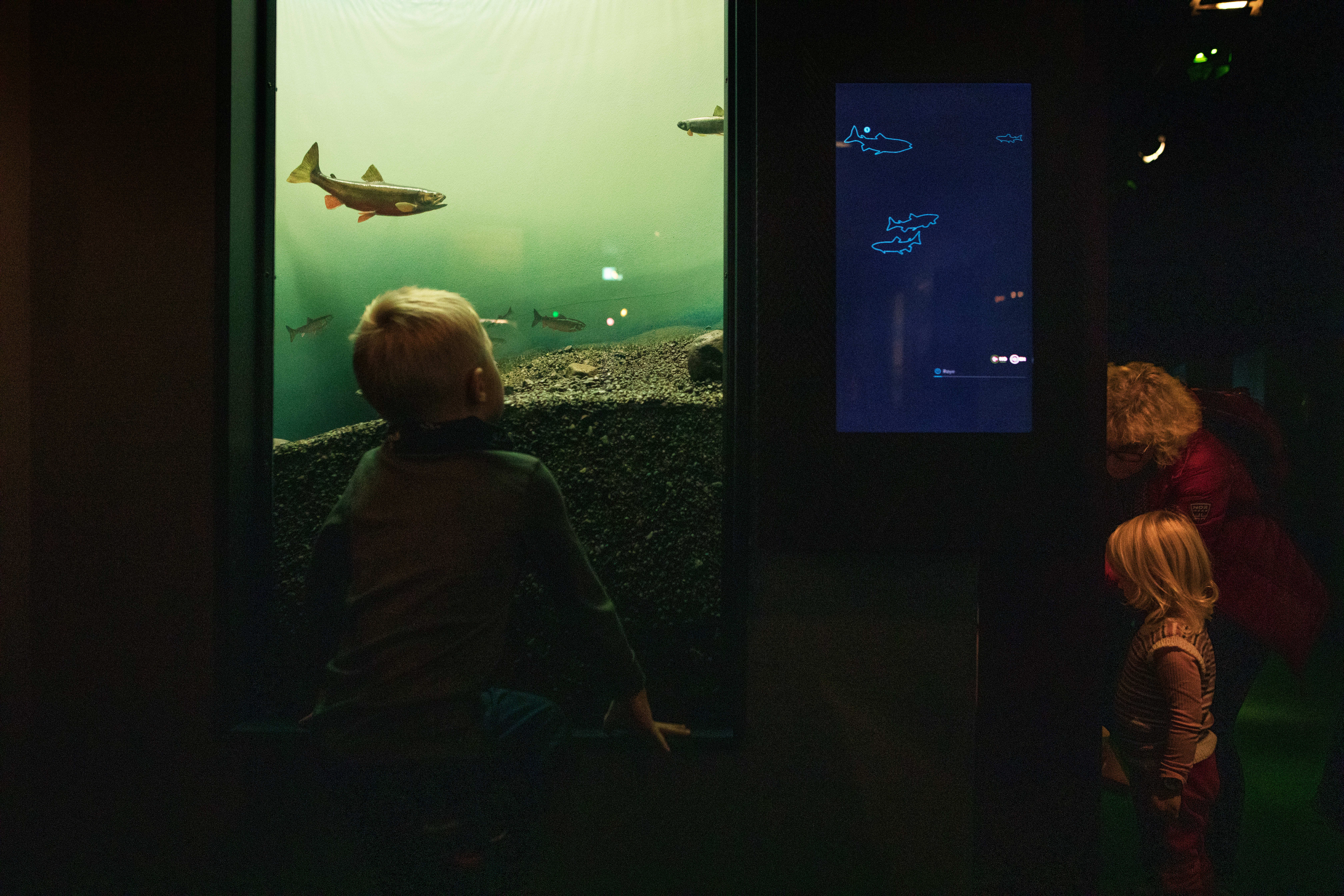 Oslo-perler å sjekke ut med barn – før høsten er her