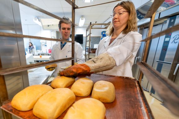 Forskerne har brukt ti år på å utvikle brødet: – Så vidt vi vet, har ingen i verden utviklet noe tilsvarende