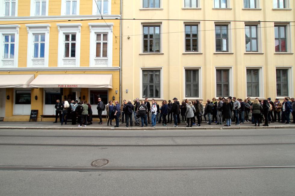 Tom Waits-løpet i 2015 – det blir fort litt køer. 