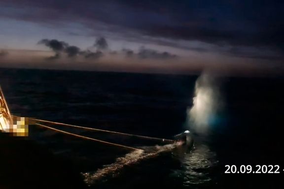 I fjor måtte islandske hvalbåter filme jakten. Det opptakene viste, stoppet fangsten.