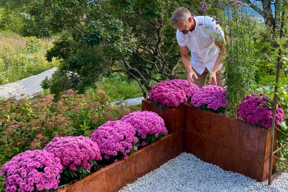 Plantekasser: Slik bygger du ulike rom i hagen eller på terrassen