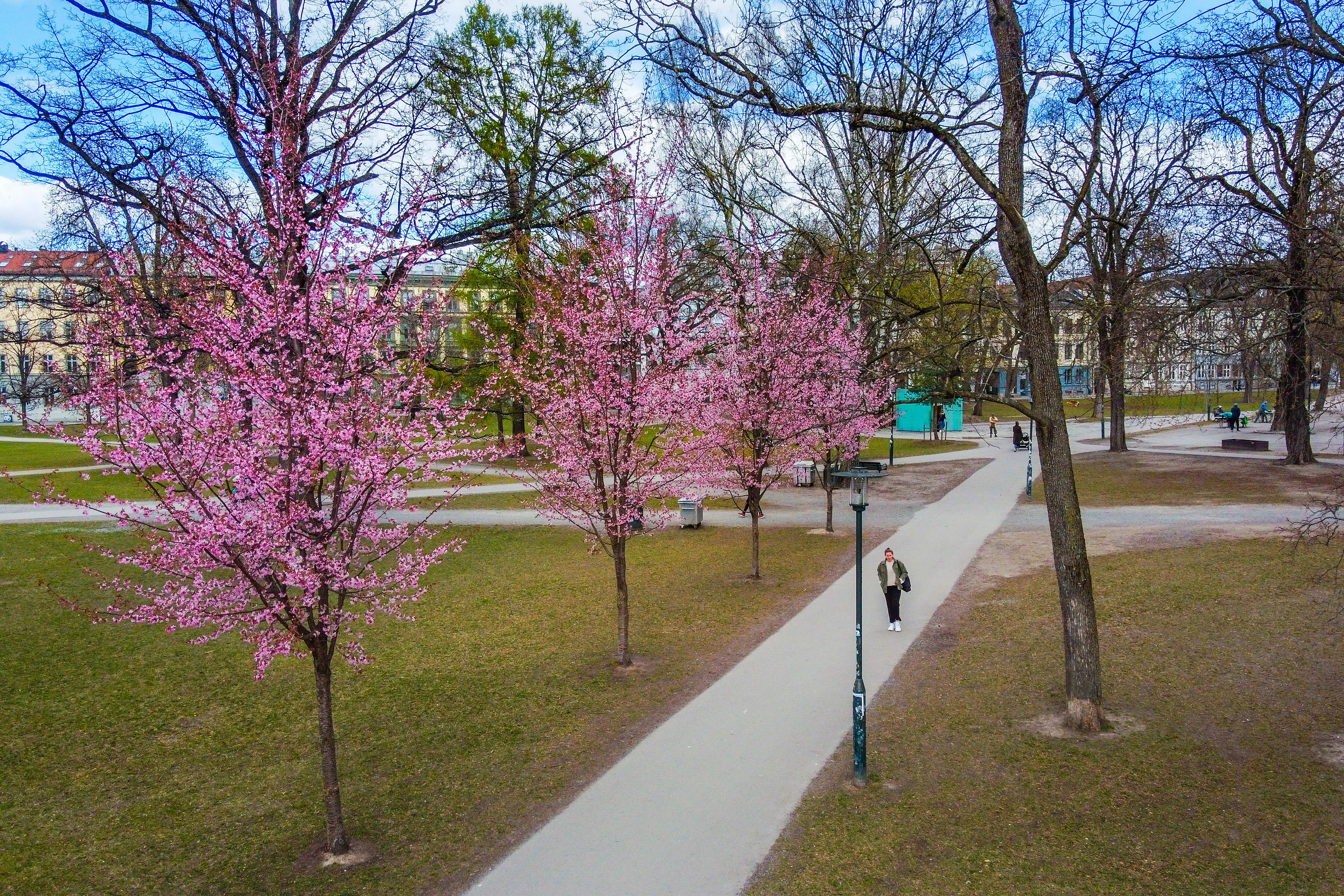 Sofienbergparken er en favoritt på Løkka. 