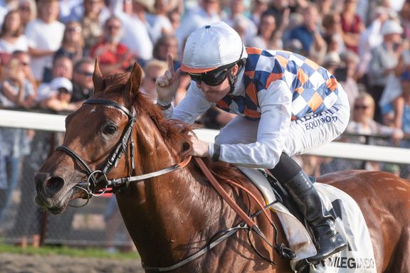 Vikaren på Selmers hest til topps etter dopingsjokket