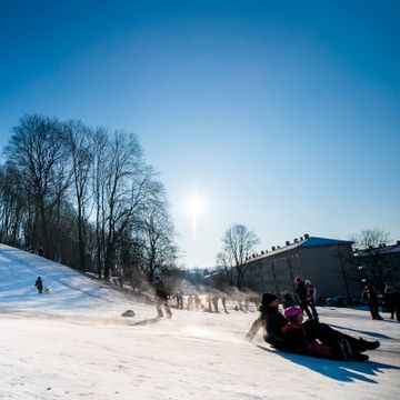 Kom deg ut før snøen regner bort: Her er de beste vinterferie-tipsene i Oslo