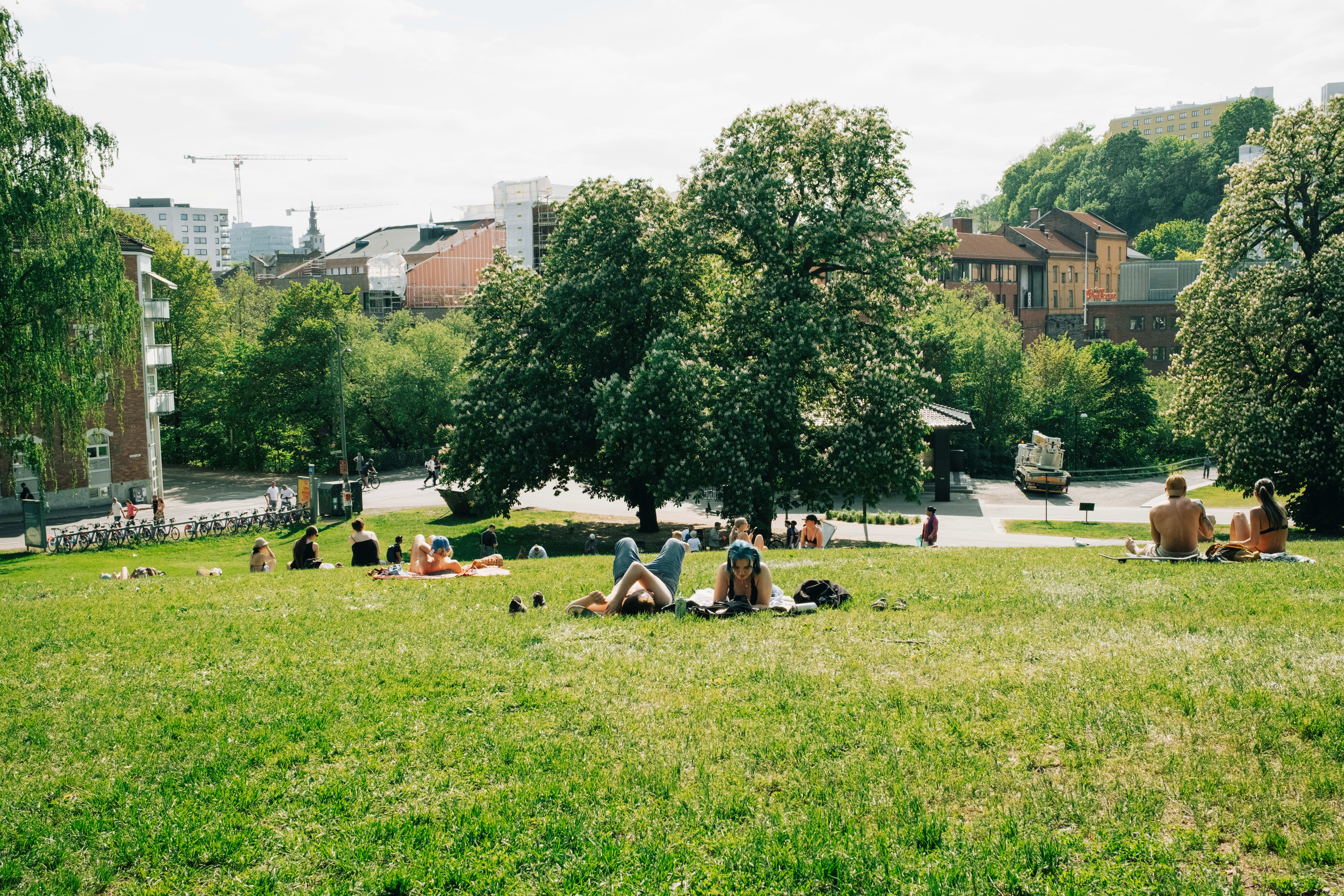 Nesten ingen vet hva denne parken heter