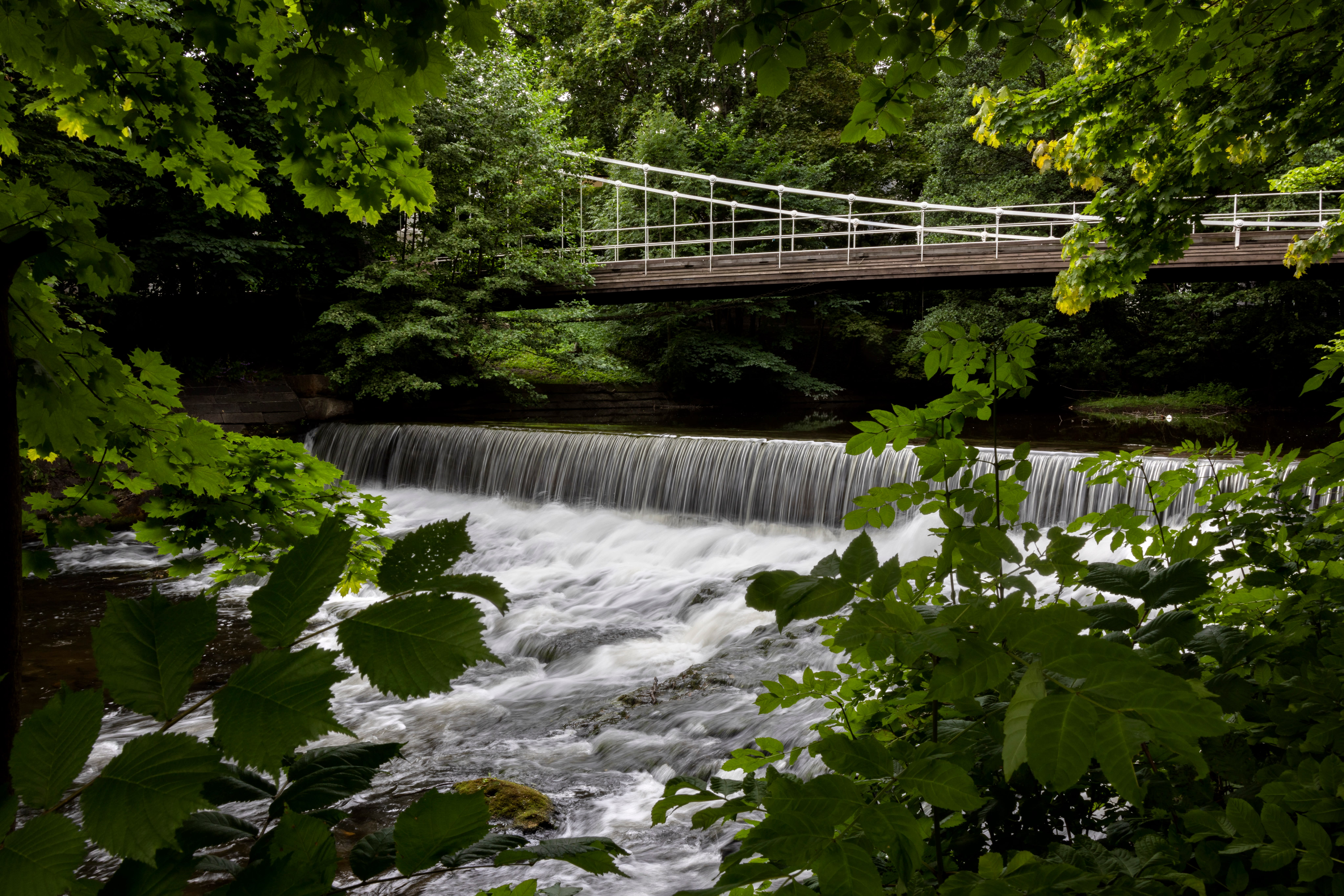 Før du fisker i Akerselva, bør du sette deg inn i hvilke regler som gjelder hvor.