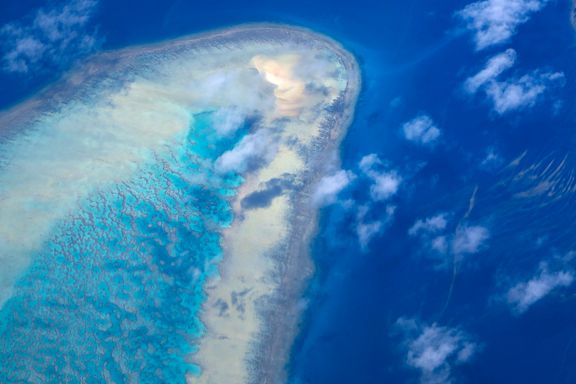 Korallrev rundt australske øyer er halvert