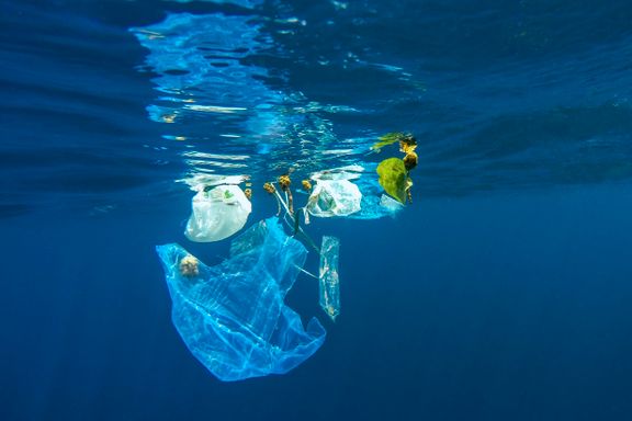 Forskere: Nedbrytbar plast løser ikke miljøproblemet 