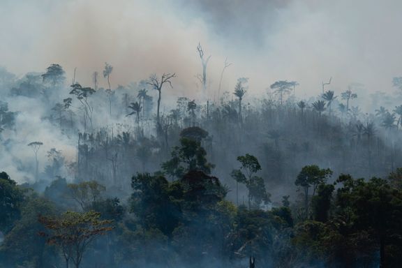 Stadig flere branner i Amazonas