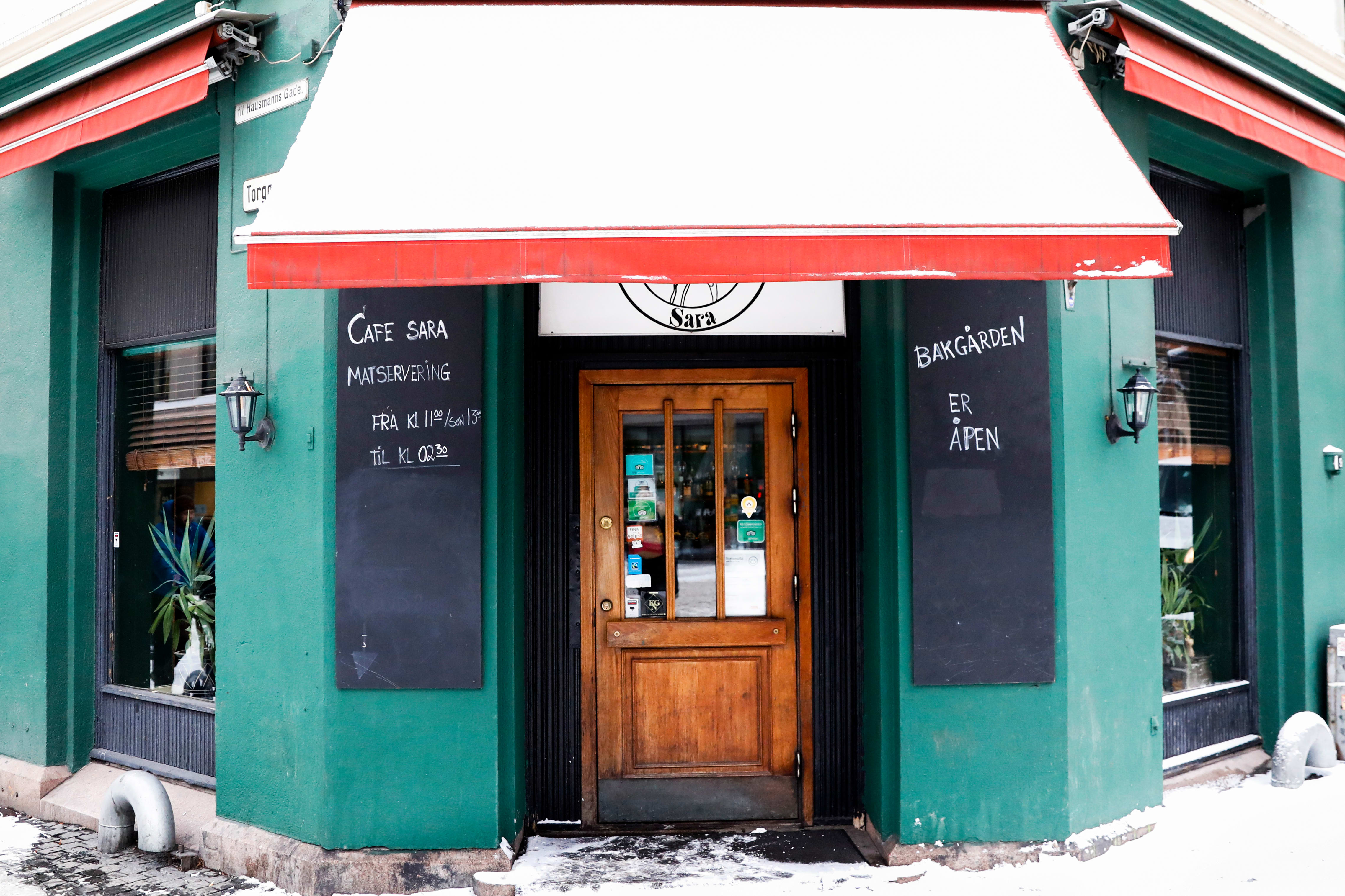 30 brune barer du må vite om i Oslo