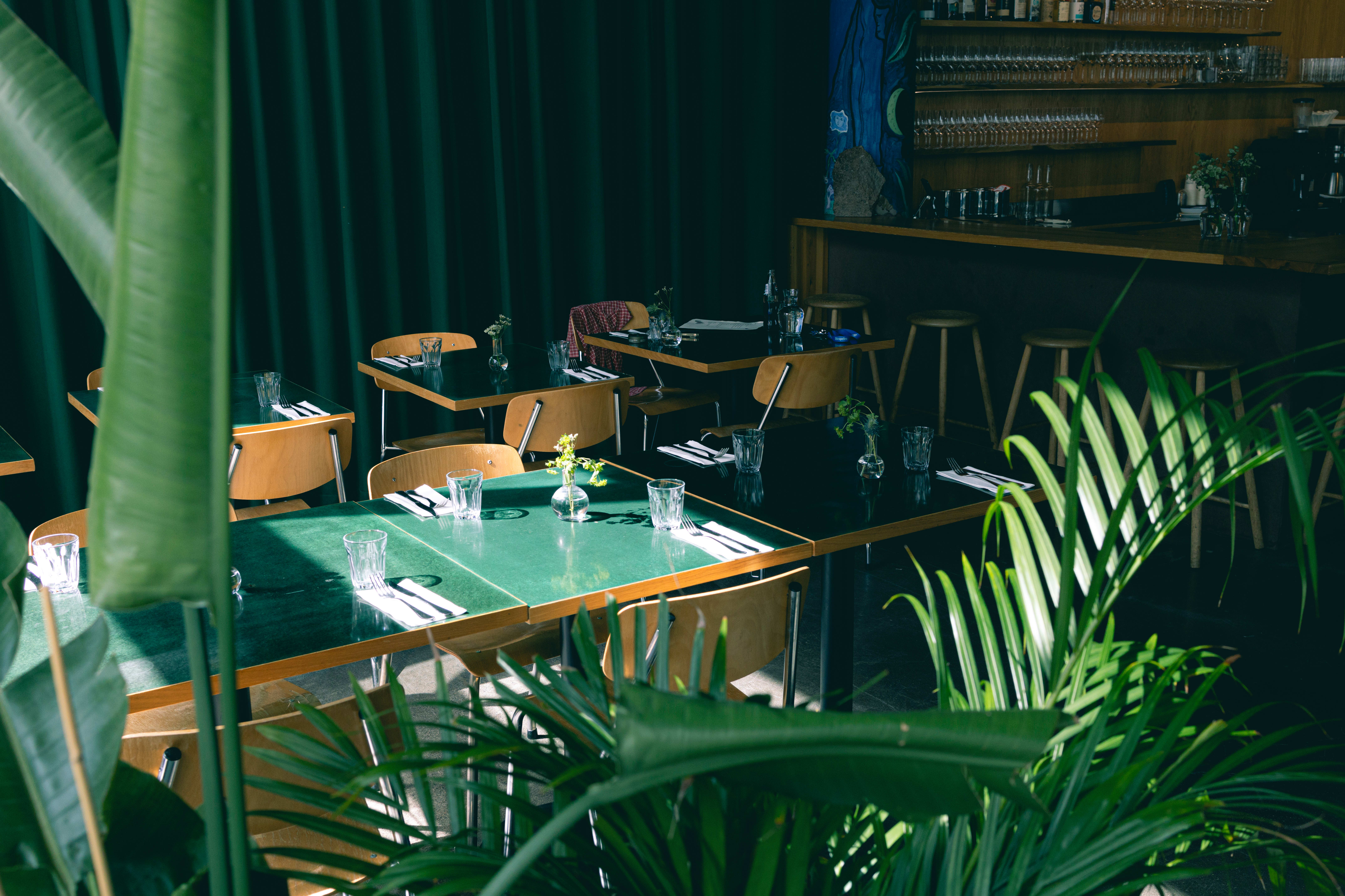 Uformelt og trivelig lokale. 