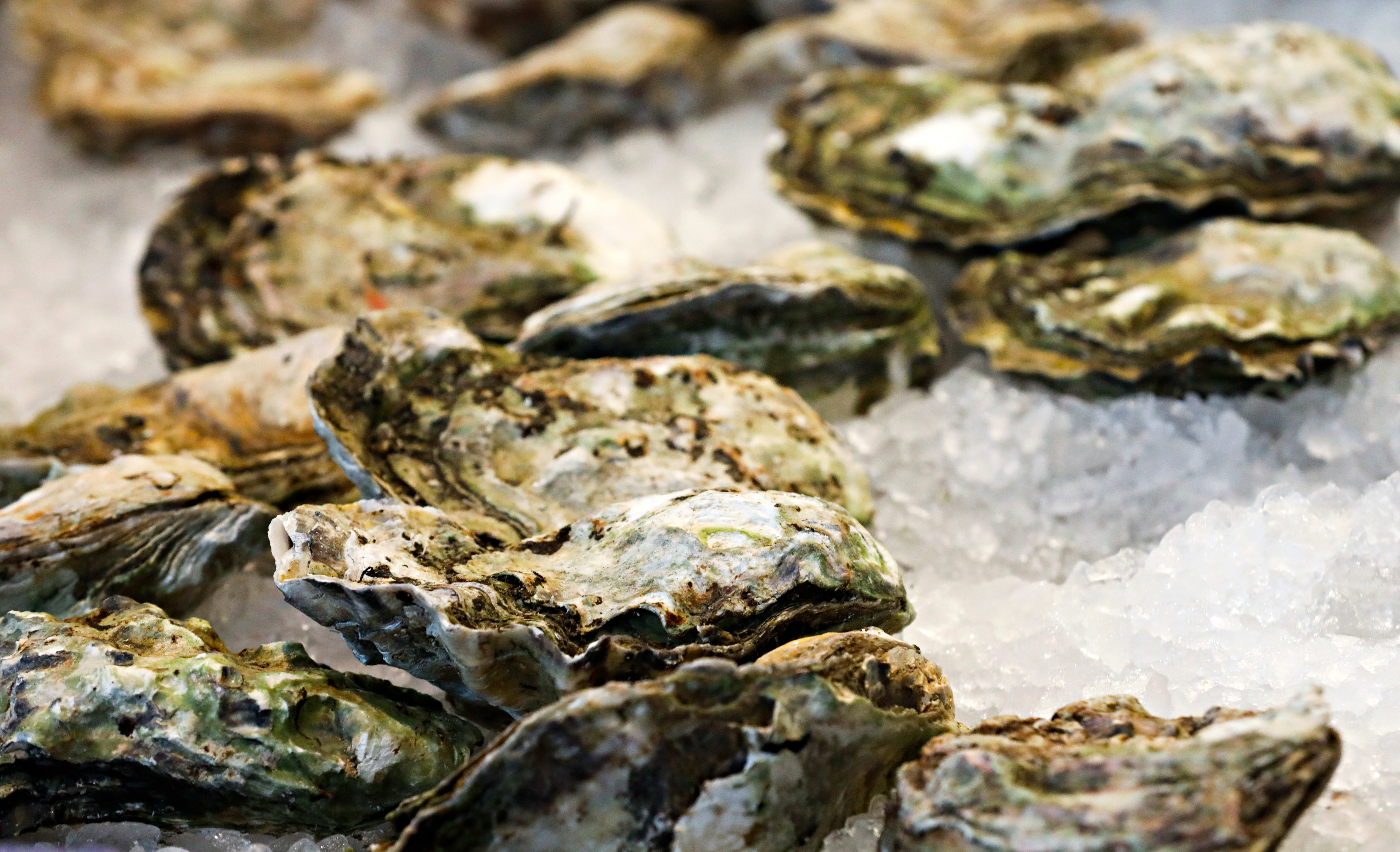 Tjuvholmen Sjømagasin.