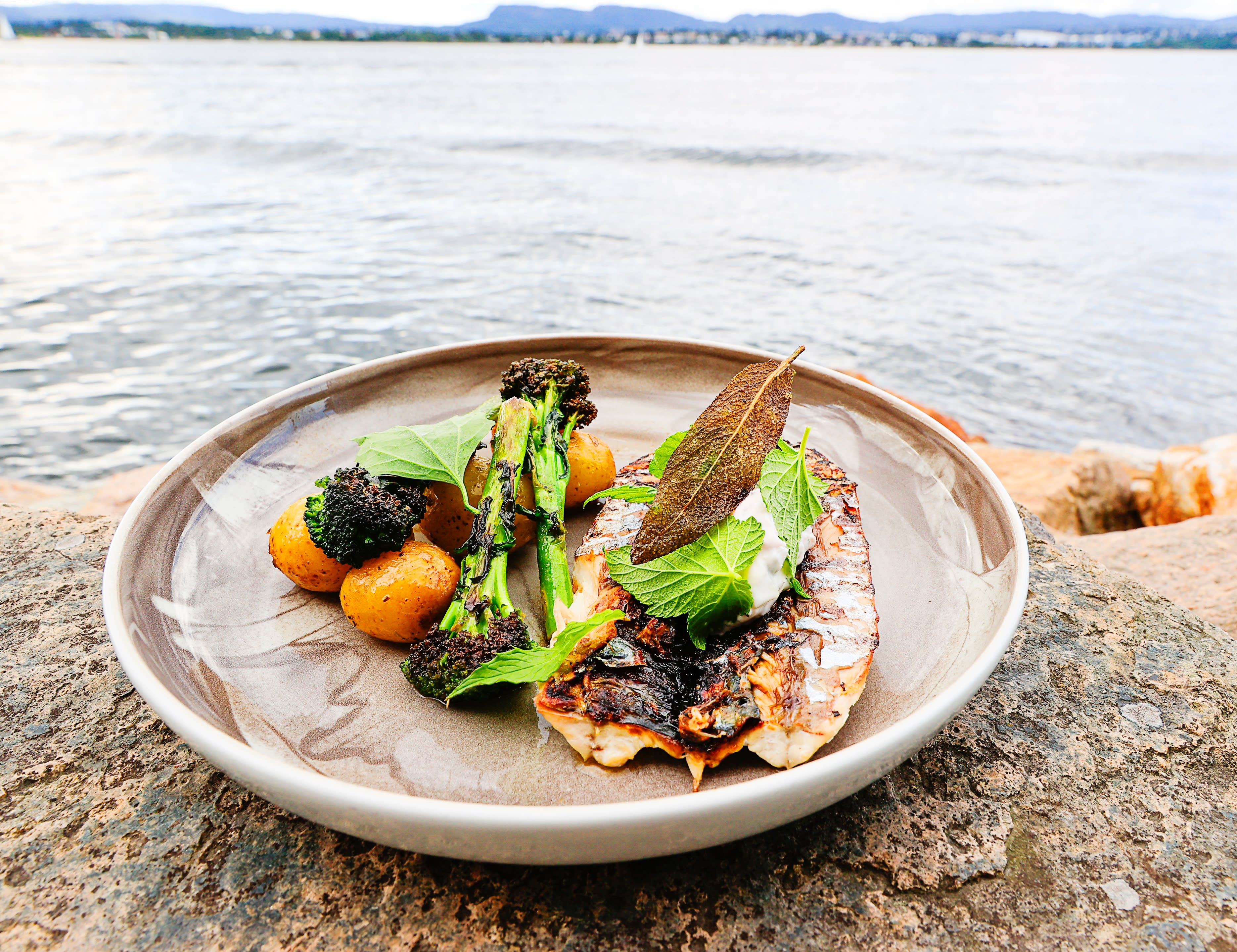 Grillet makrell på svaberget. 