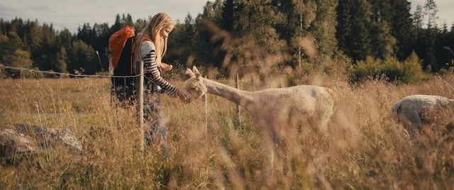 Om du sender barn på vandring i naturen på film, må du som filmskaper konfiskere mobiltelefonen deres.