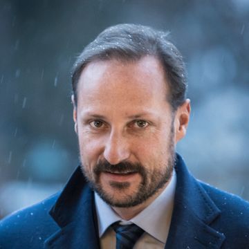 Kronprins Haakon: Kongen er i bedring