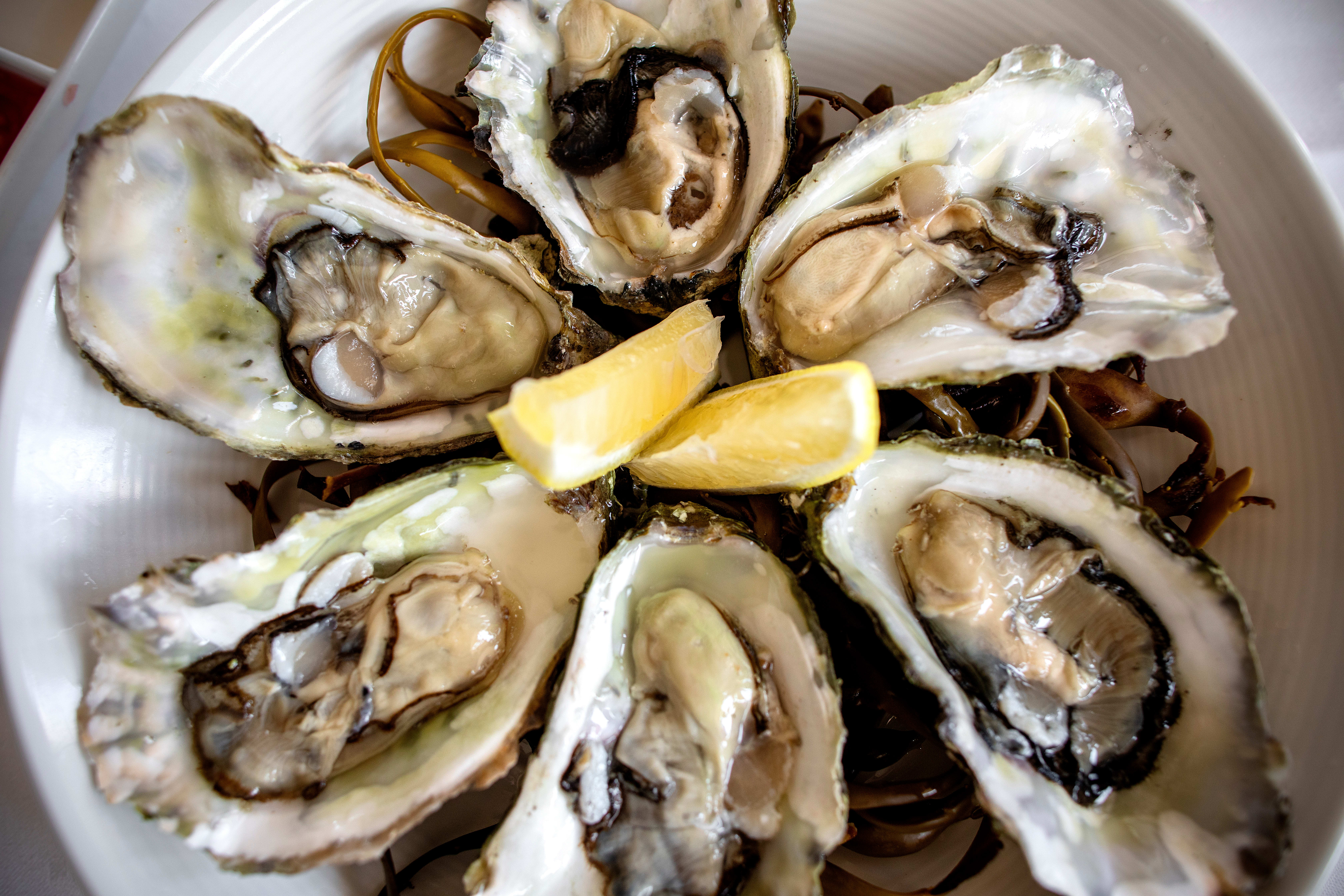 Lofoten fiskerestaurant.