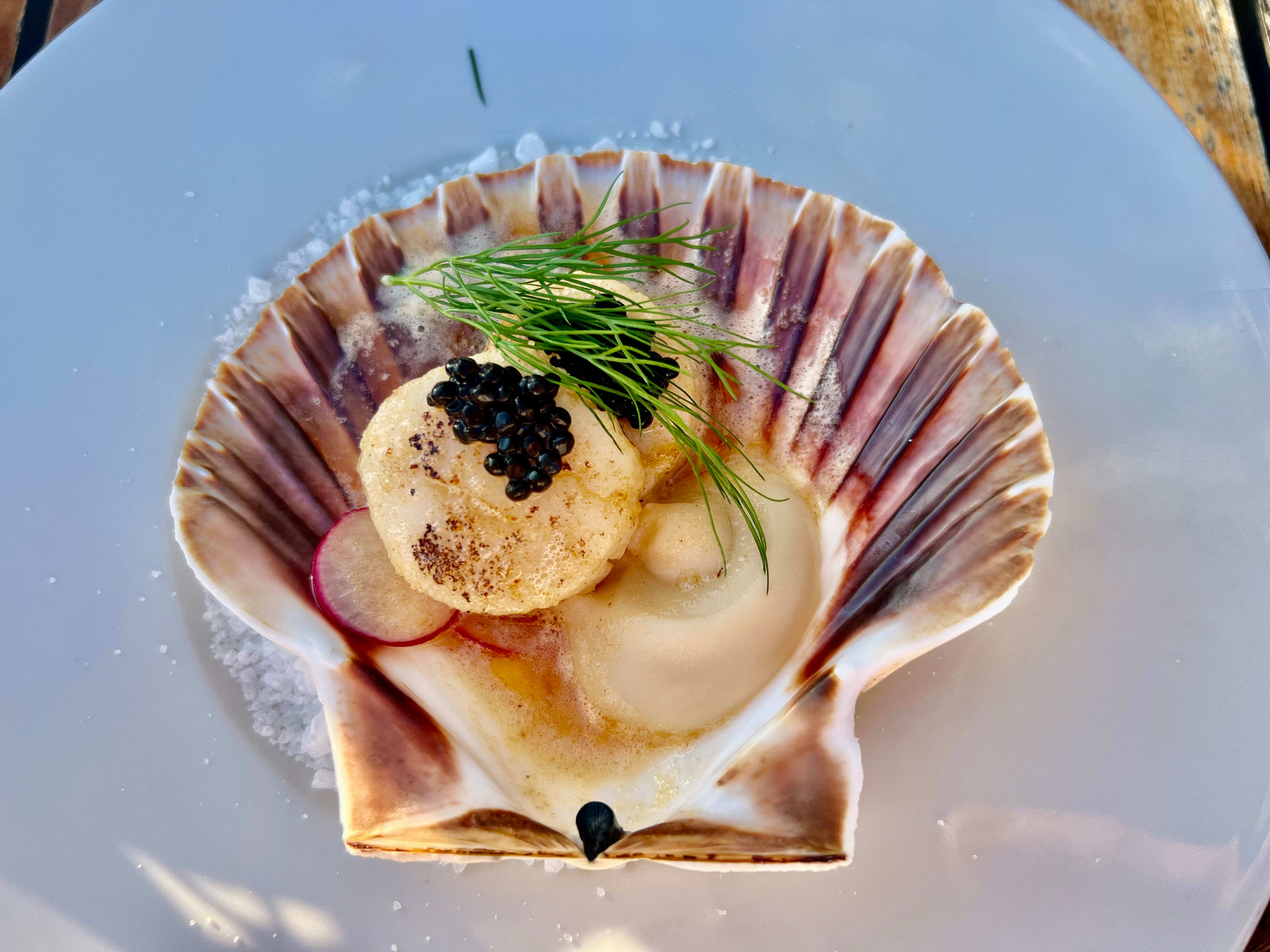 Vakkert og velsmakende kamskjell. 