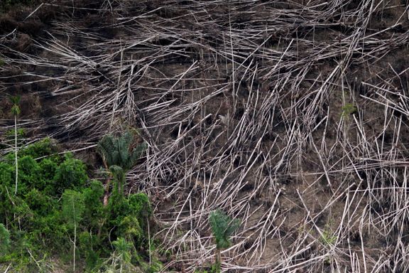 Aftenposten mener: Riktig av Norge å stoppe regnskogpenger til Brasil