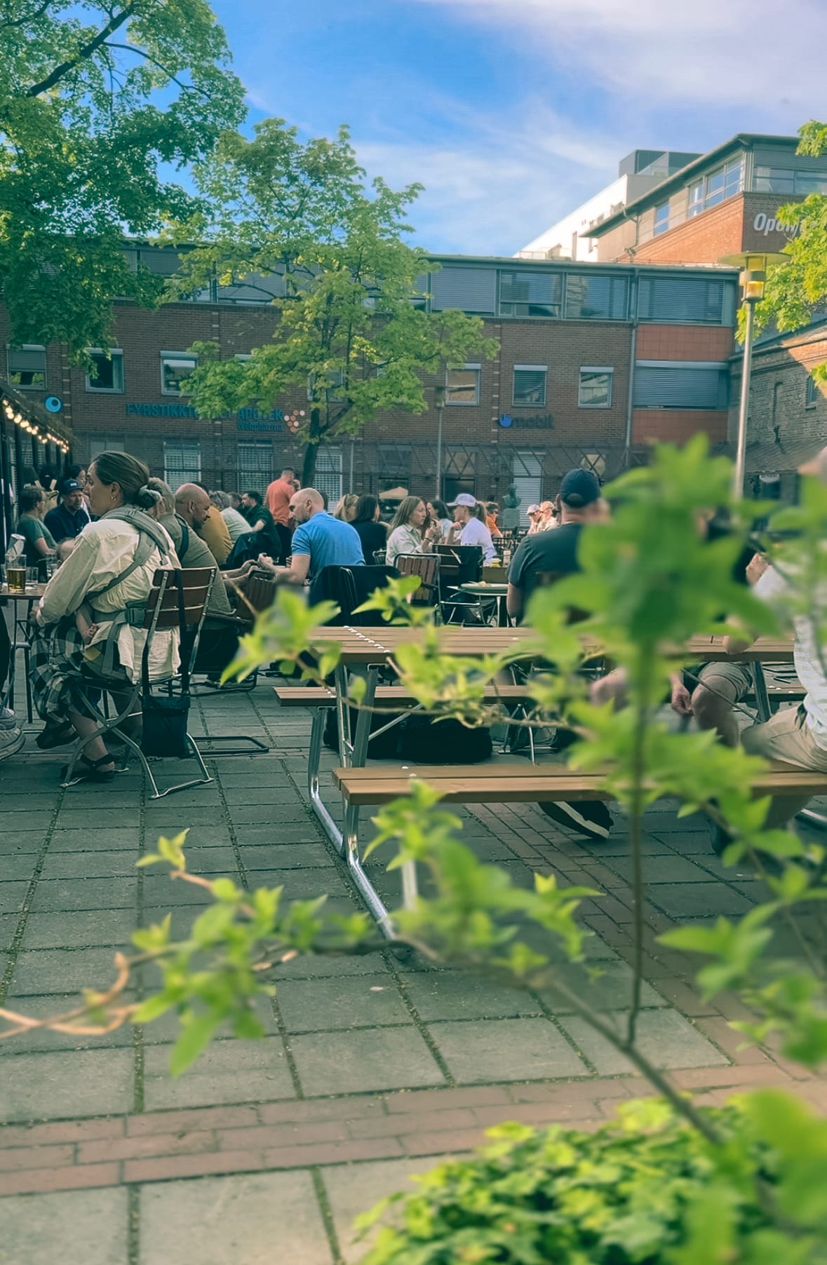 Stor test av populære uteserveringer i Oslo