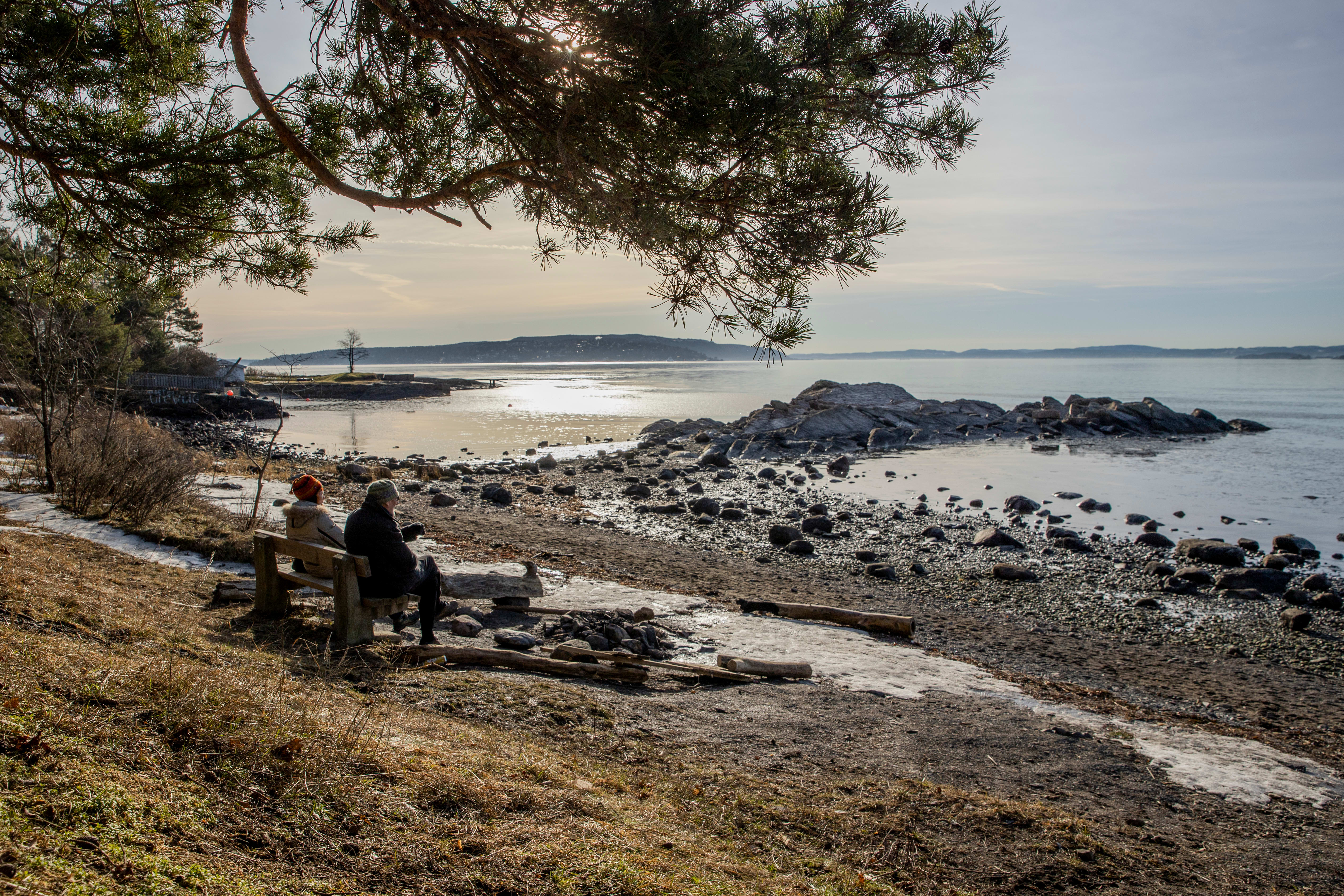 Utsikten fra en benk i Paradisbukta kan være riktig så fin i godt vær.