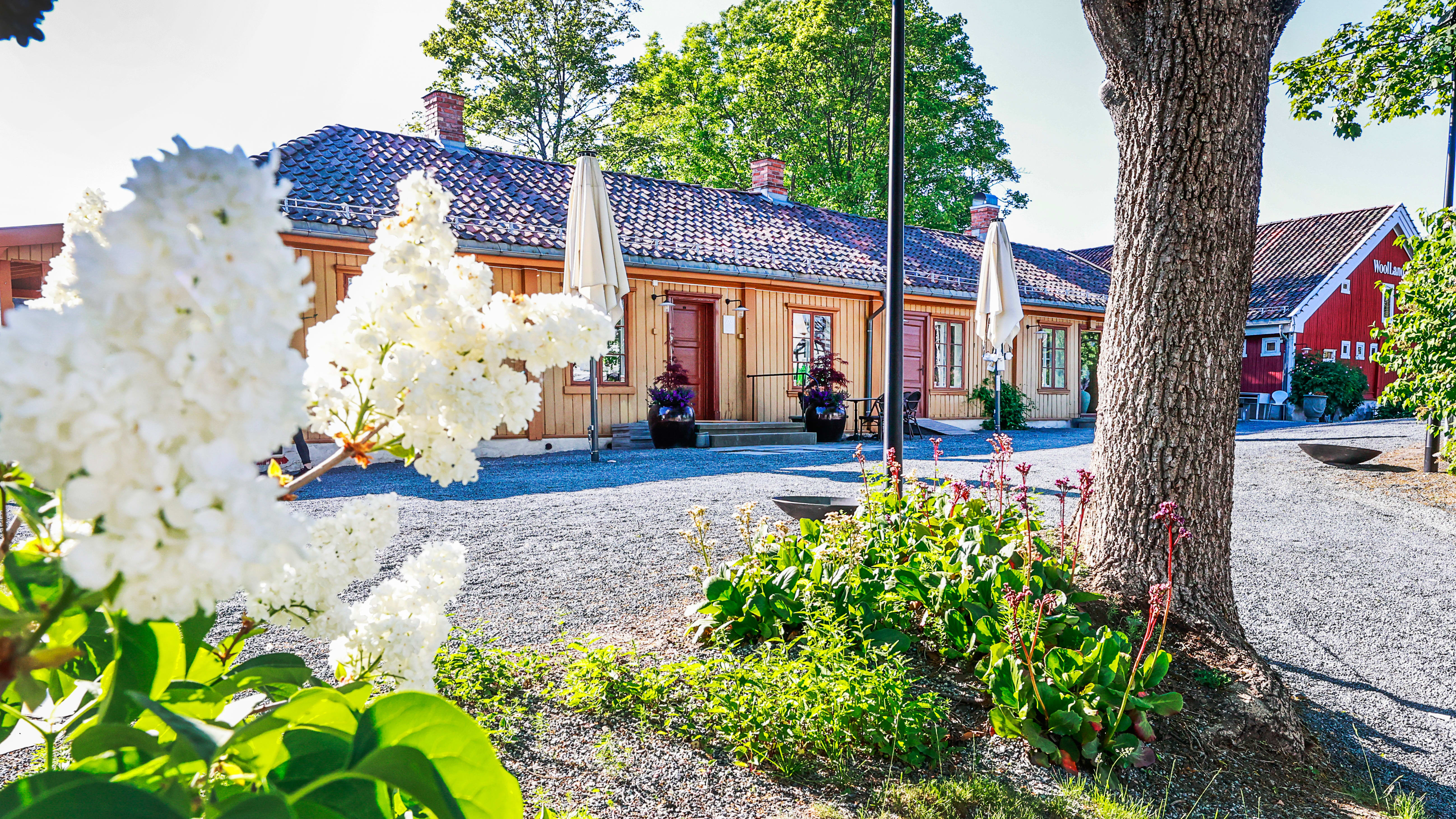 Her inne får du Michelin-mat. 