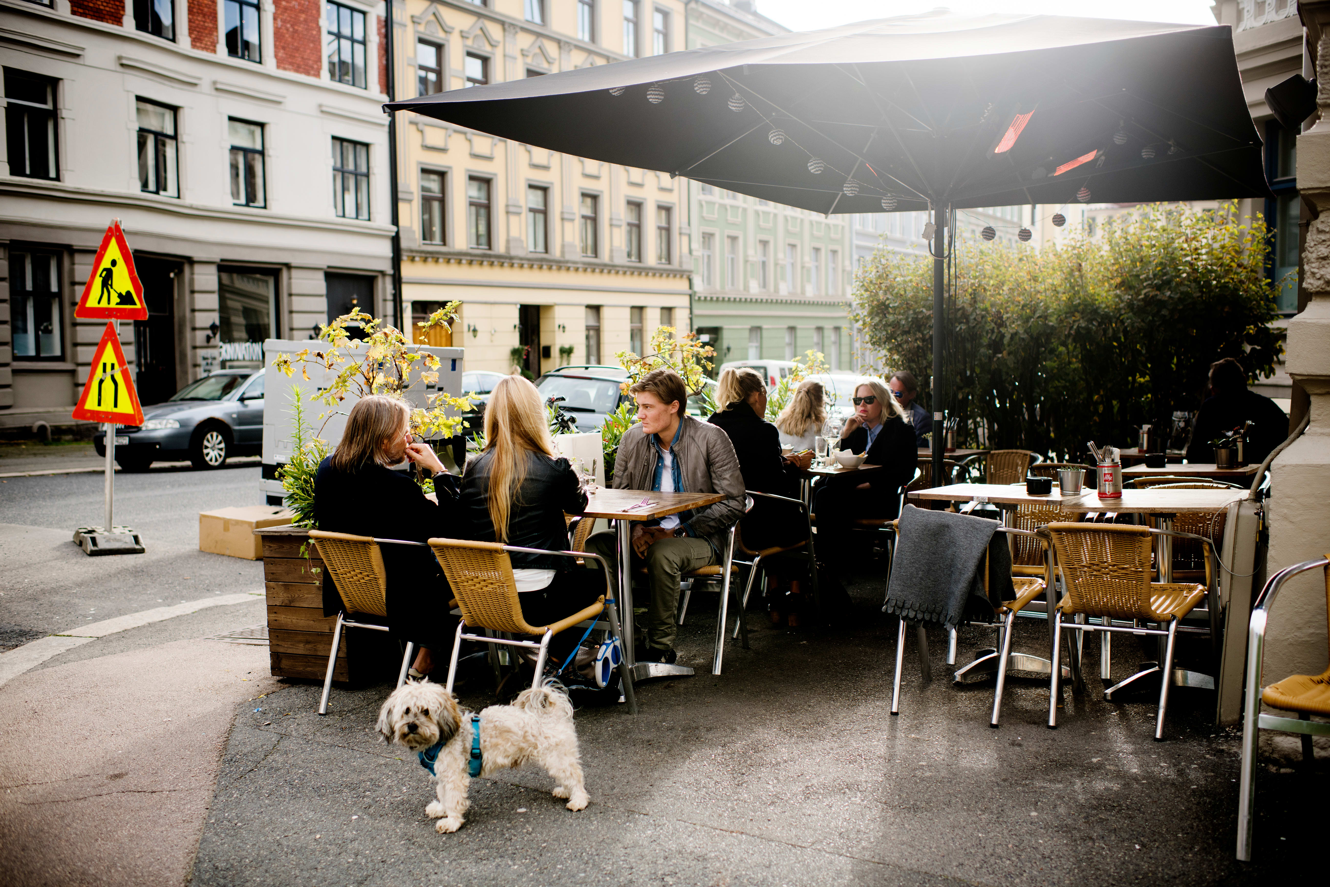 Vinbarer i Oslo med uteservering