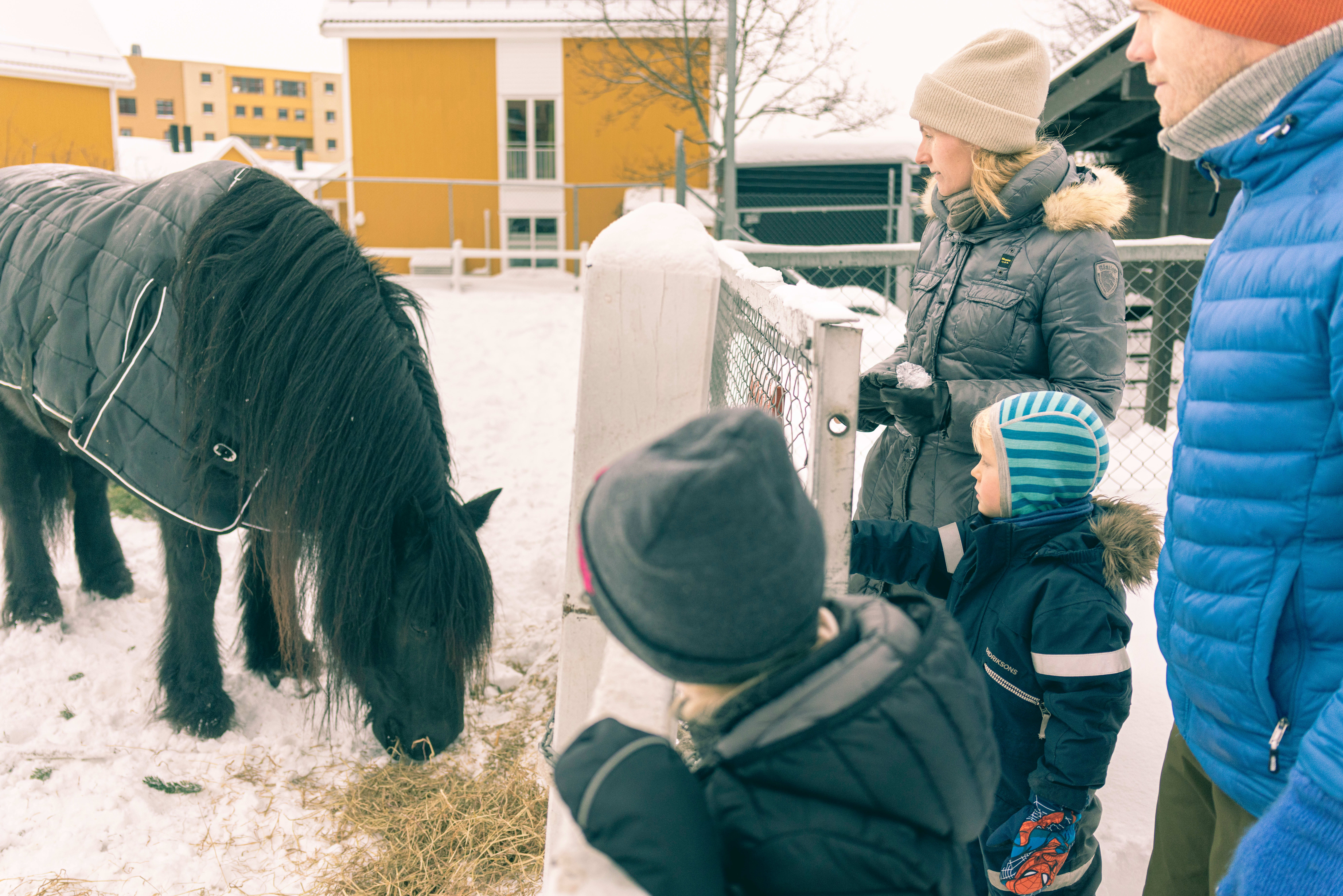 Othilie (8), Olai (5) og mor Hege Bergum og far Terje Tjelland er på besøk fra Kristiansand og har tatt turen til Kampen økologiske barnebondegård.
