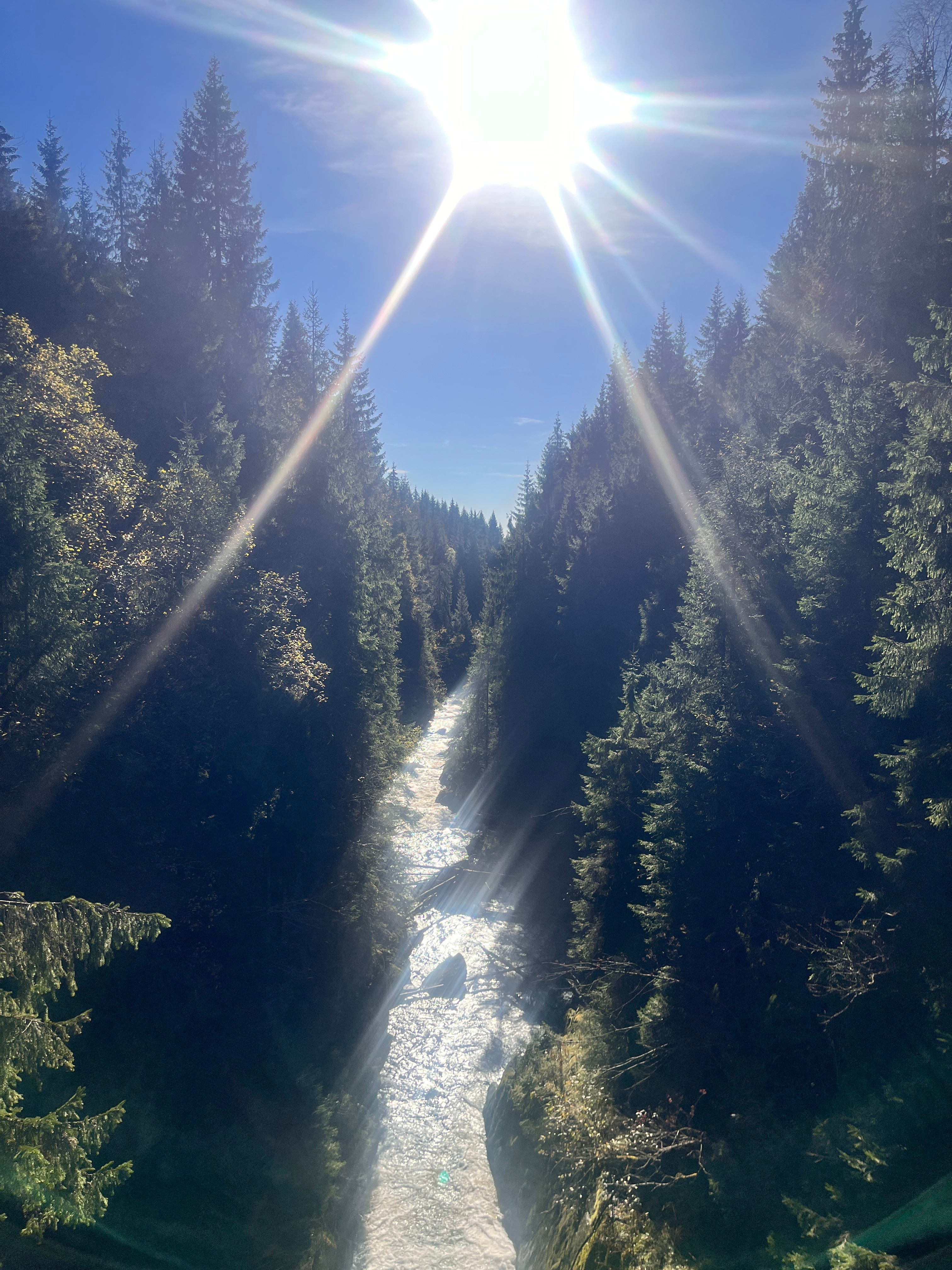 Utsikten fra hengebruen over Bjørnsjøhelvete i Nordmarka.