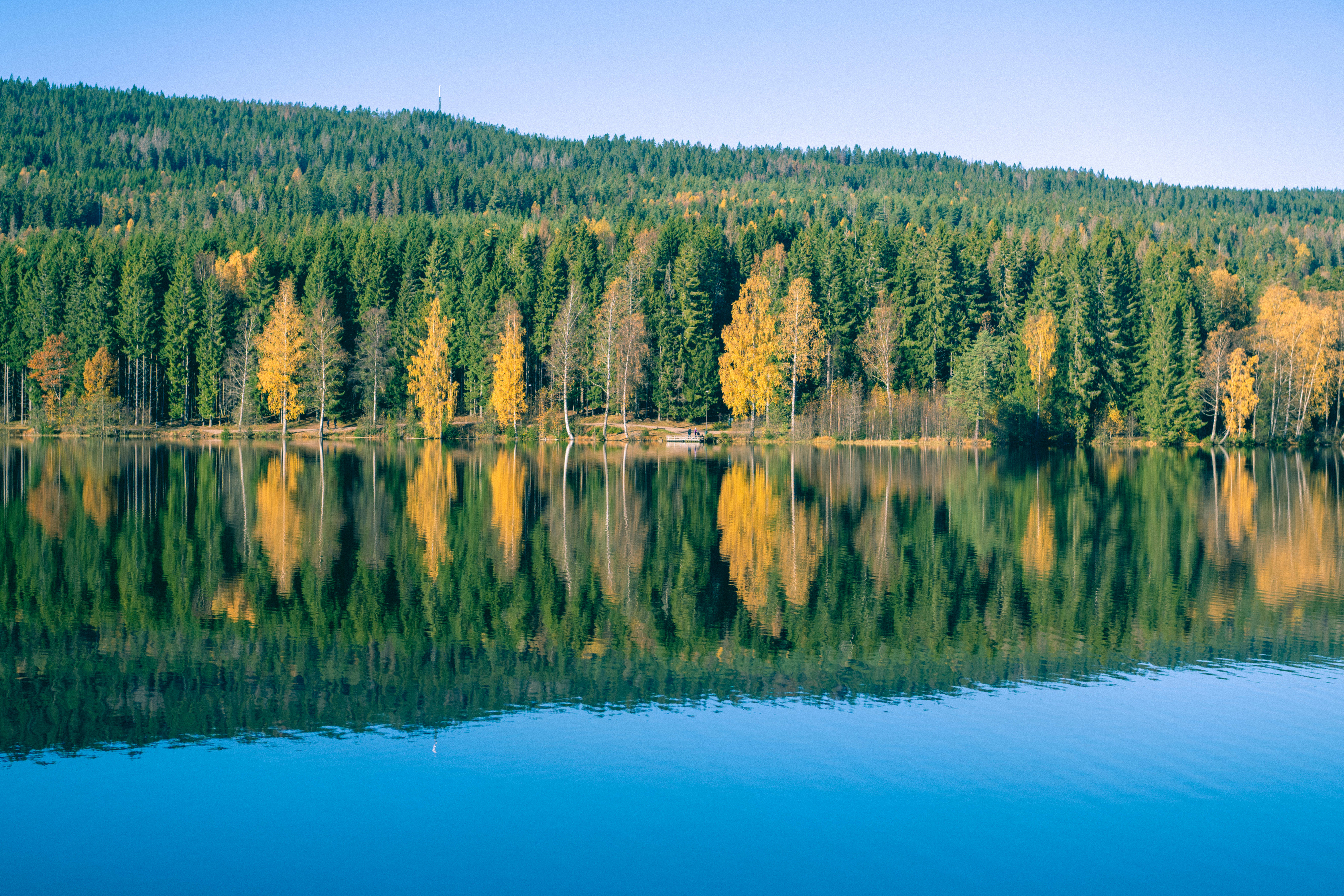 Sognsvann er flott i høstfarger. Ganske så Instagram-vennlig.