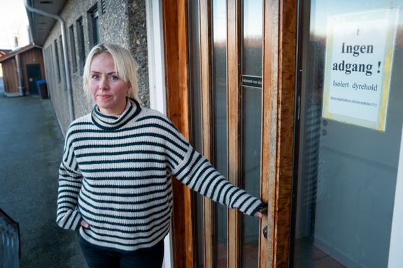 Fugleinfluensa påvist i Rogaland: – Den store skrekken