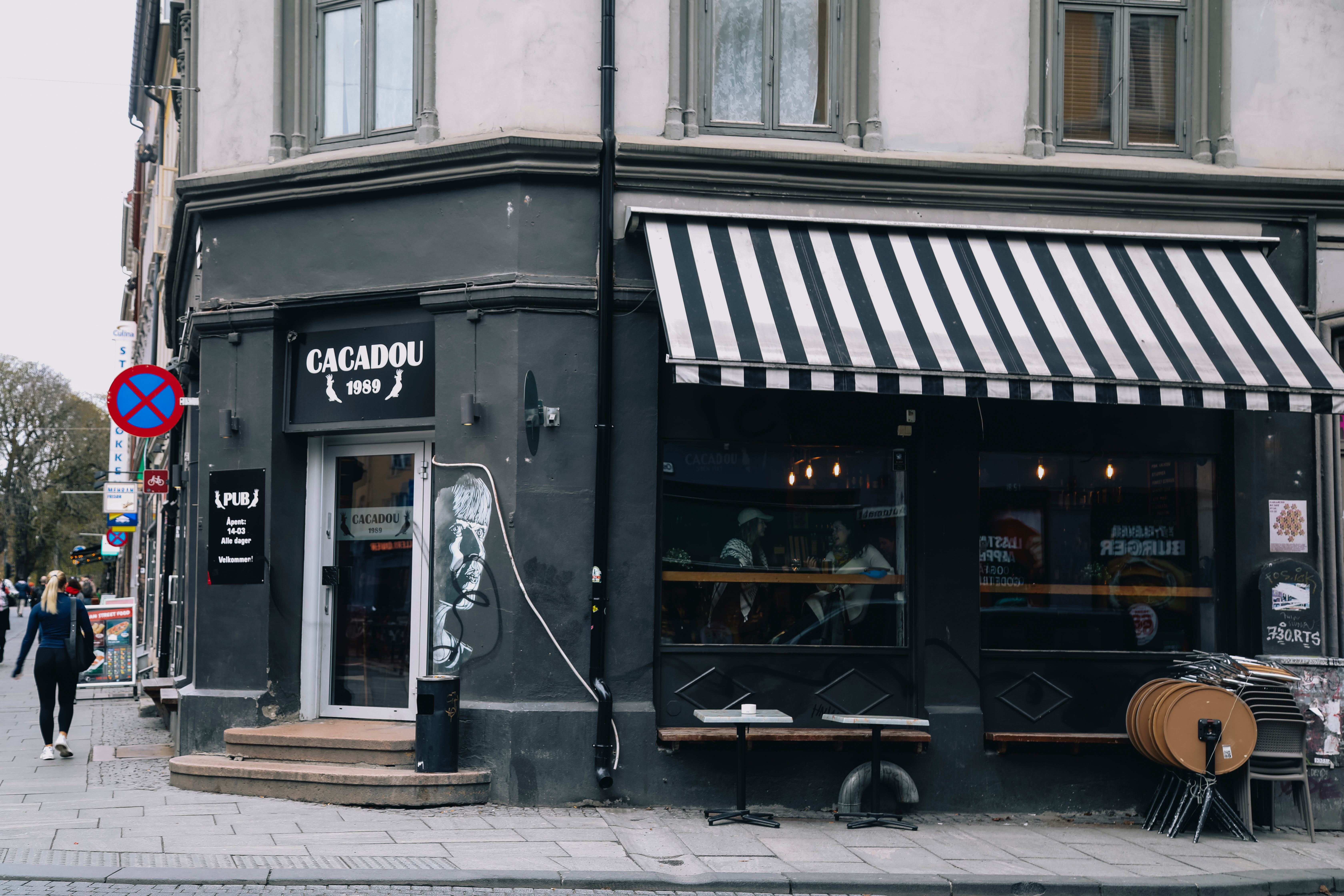 30 brune barer du må vite om i Oslo