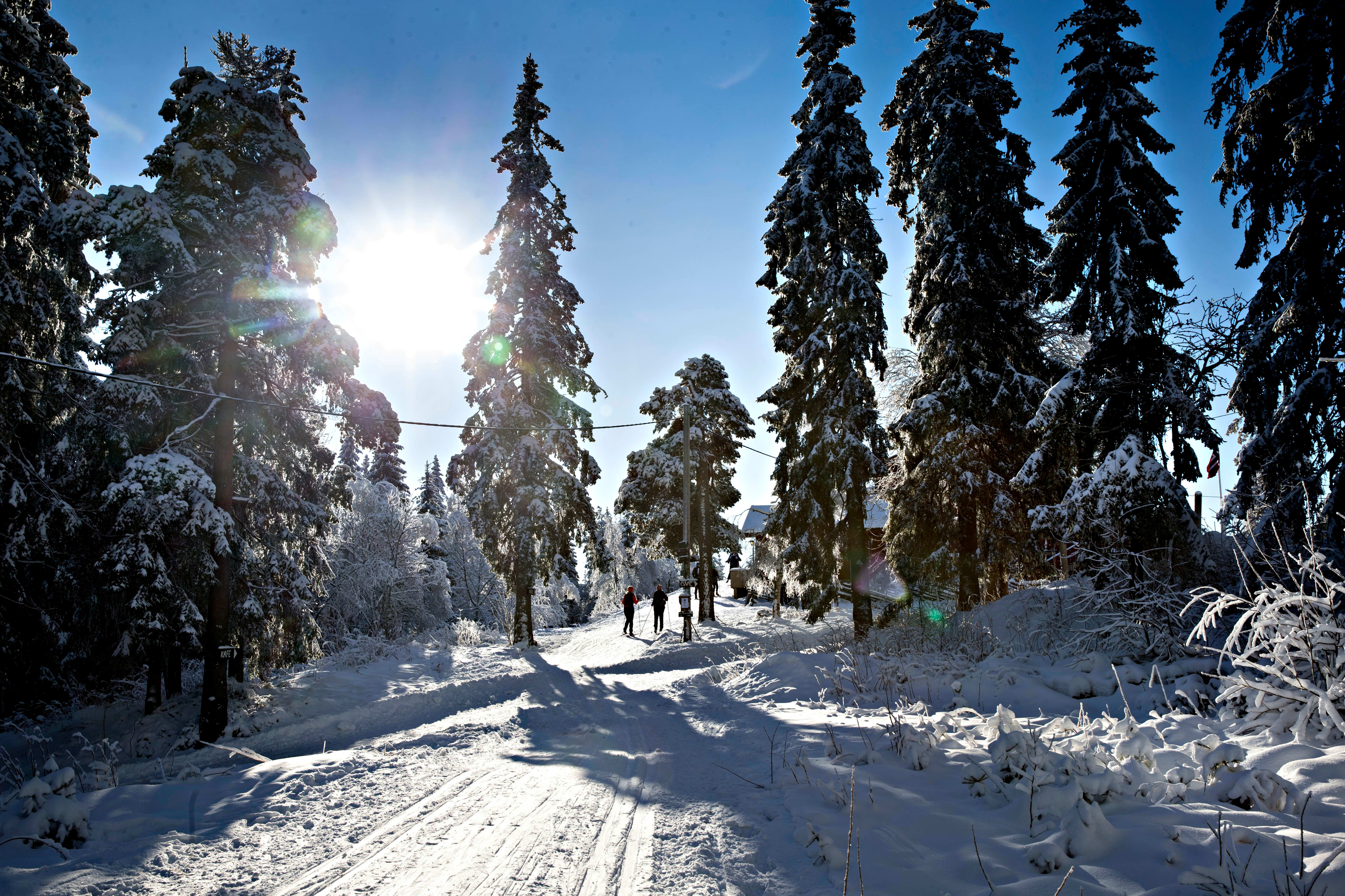 Fem fine, lette skiturer i Oslo