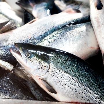 Rekord for eksport av norsk sjømat