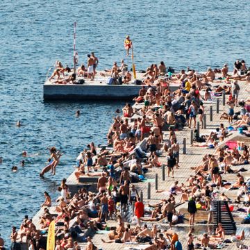 Fraråder bading i Oslofjorden - frykter E.coli-bakterier i vannet