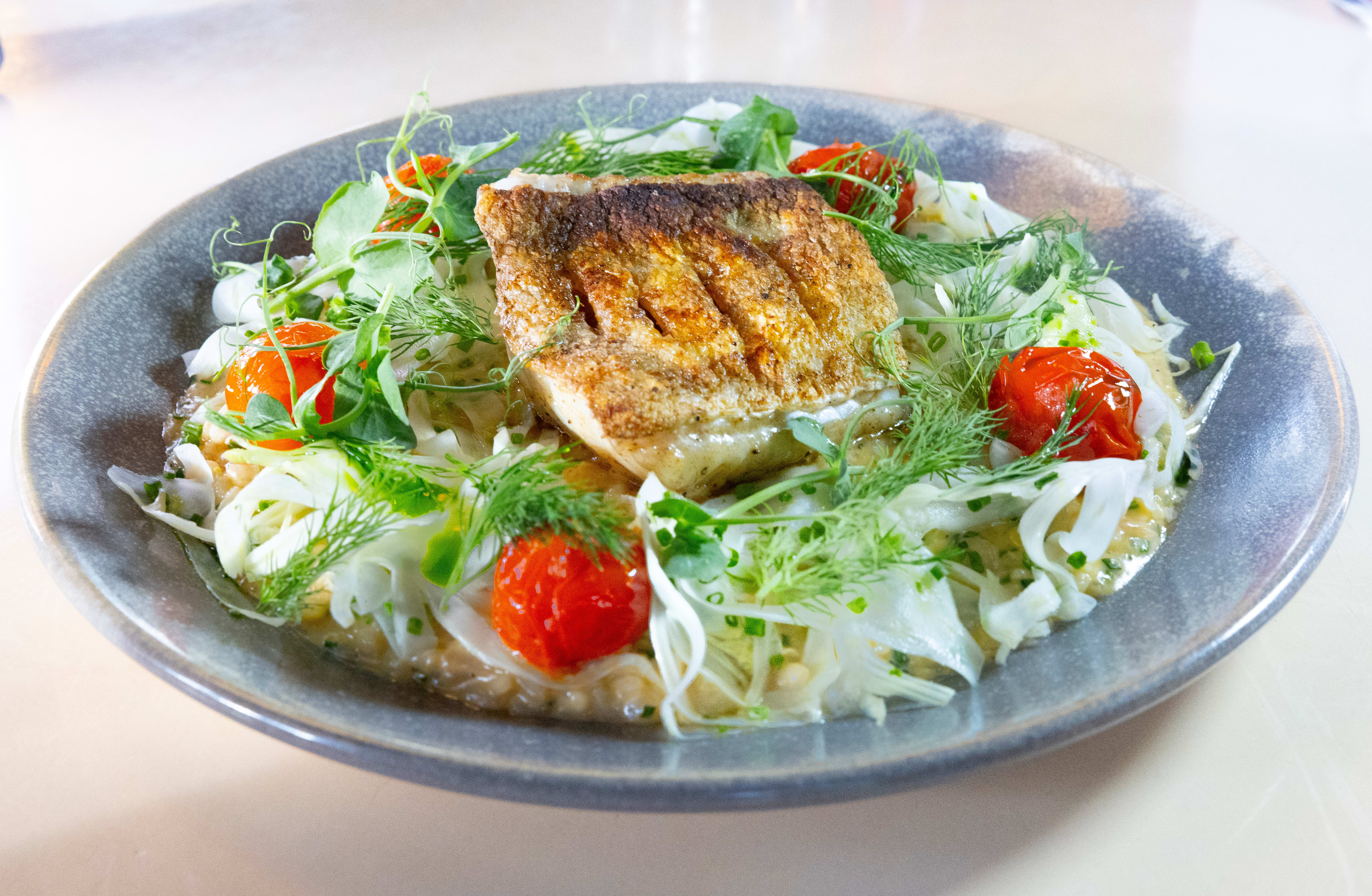 Torsk med skalldyrrisotto. Slik så retten ut da fotografen besøkte Kafé Oslo etter at vår anmelder hadde vært der.