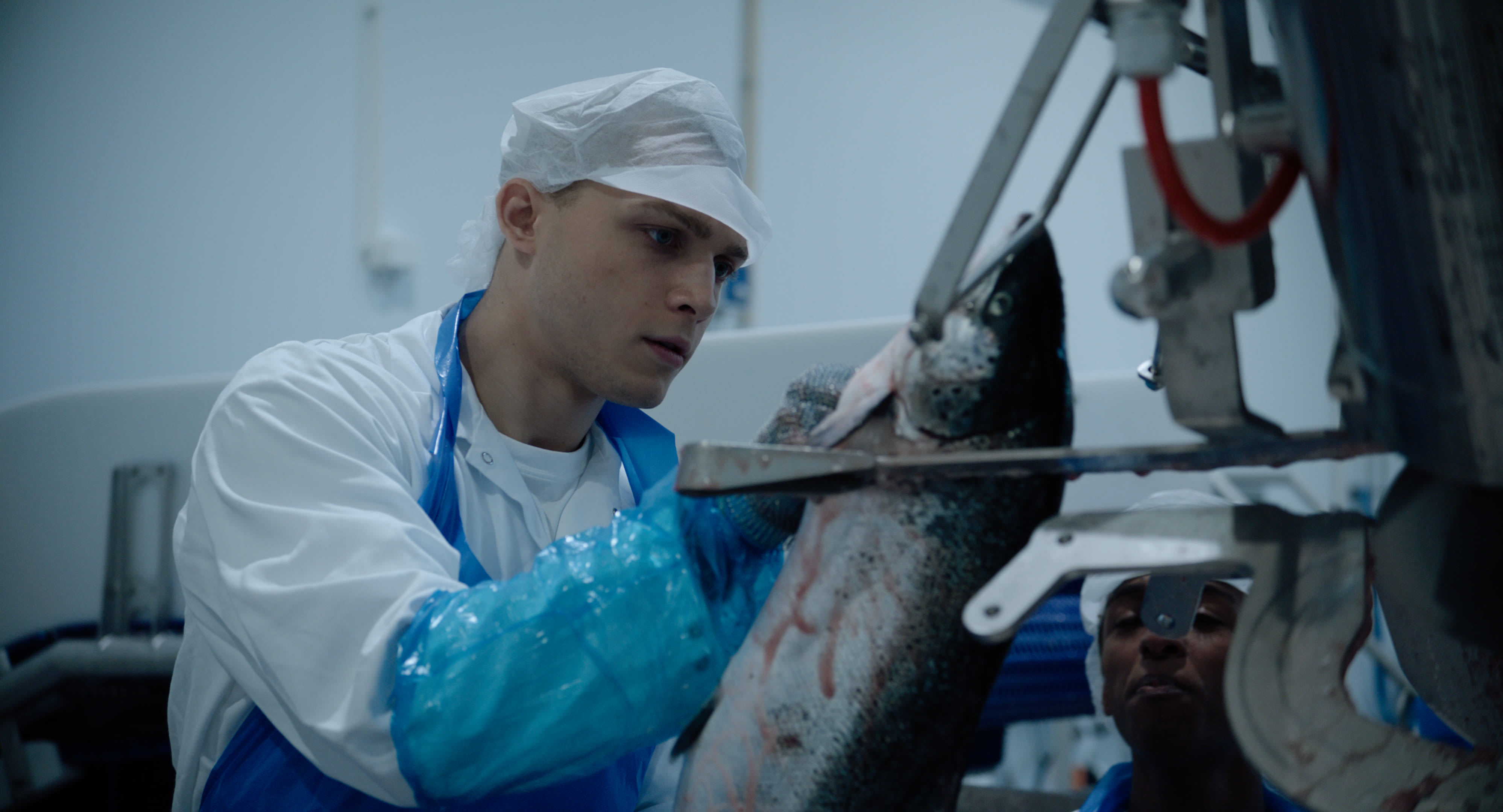 Miljøet på laksemottaket er av det macho slaget.