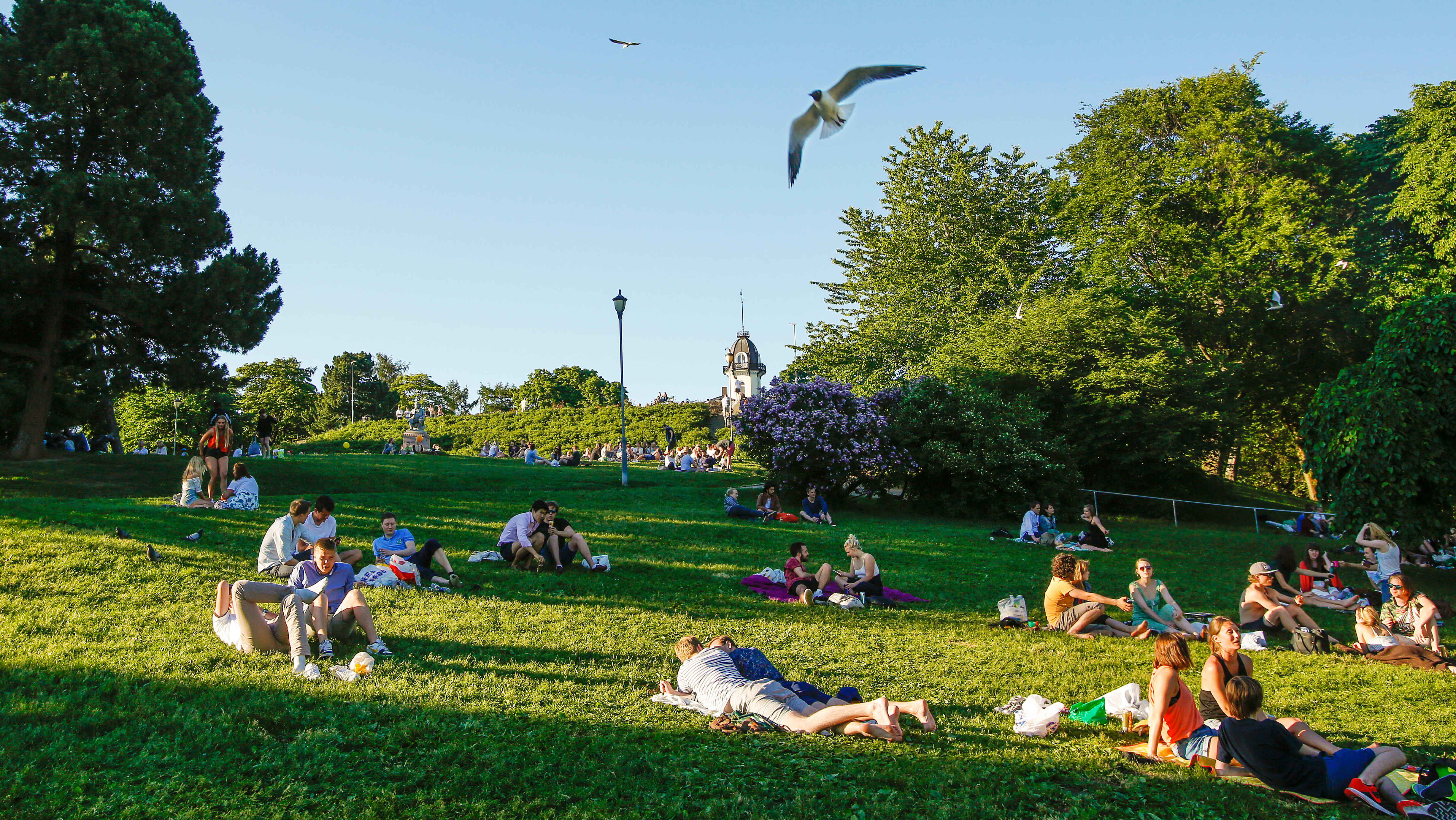 En perfekt park for klining!