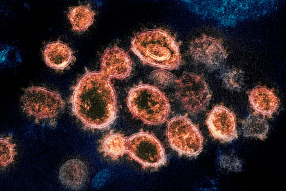 Hvordan gjør mutasjoner at viruset kan bli mer skadelig og unnvike vaksiner?