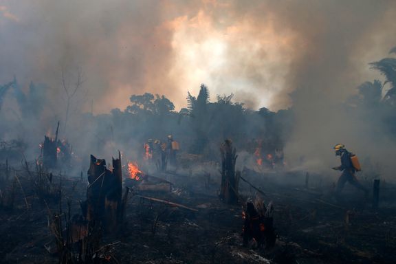 Brasils påtroppende president lover full stans i avskoging