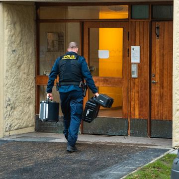 Den svenske moren er ikke lenger mistenkt for lovbrudd