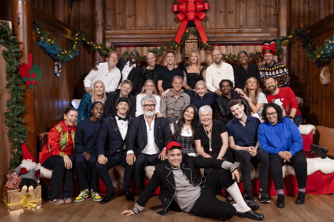24 mer eller mindre kjente fjes konkurrerer om å bli julekalendermester. «24-stjerners julekalender» er ekte reality, parodi og meta. Utrolig nok lander serien på beina. 
