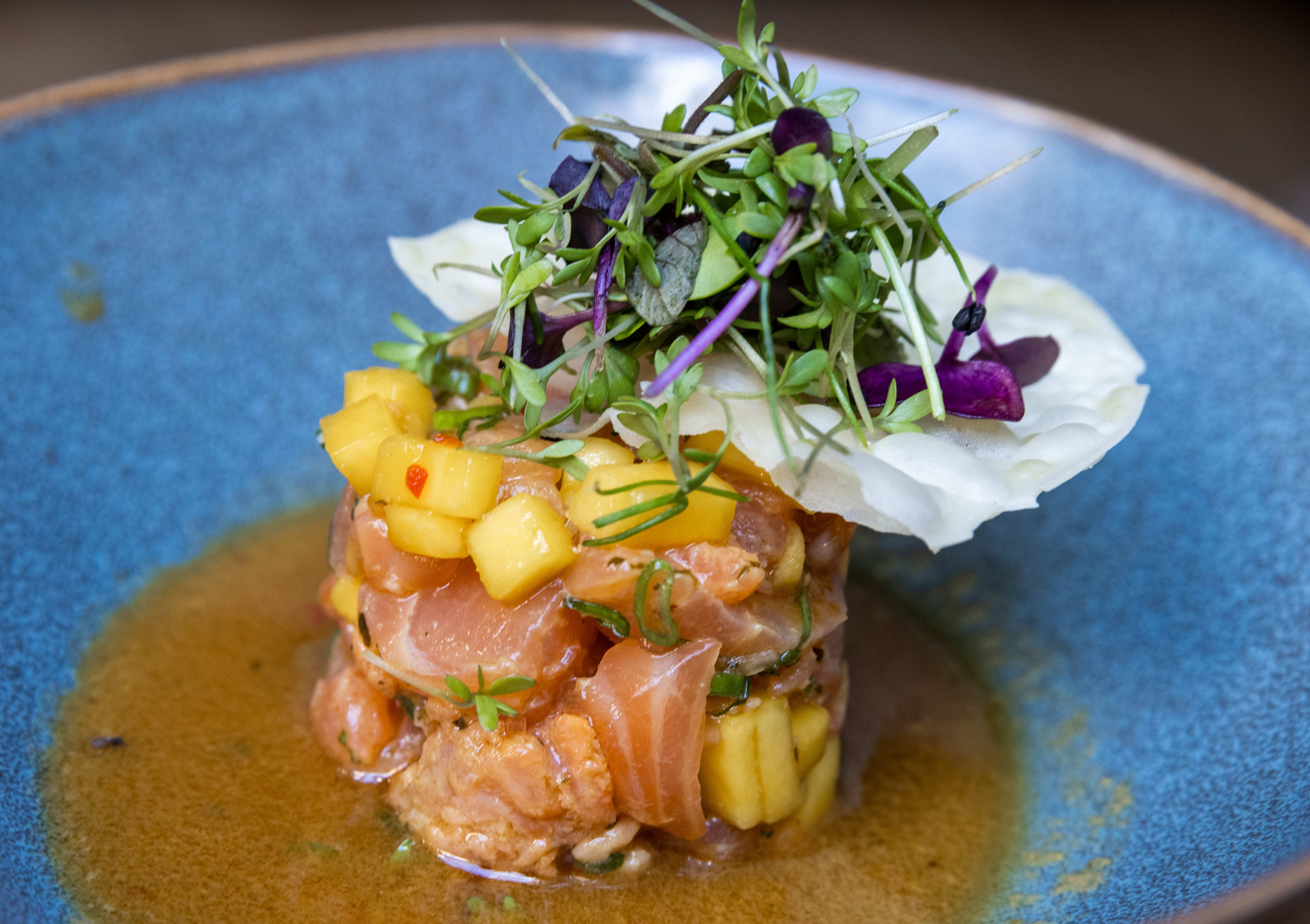 Ceviche med laks og mango.