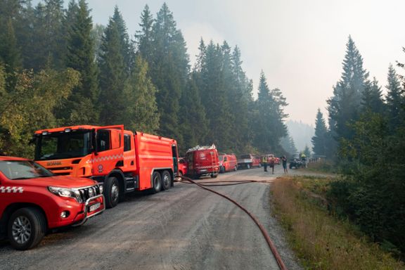 Brannsjefen: – Vi har kontroll på skogbrannen i Birkenes