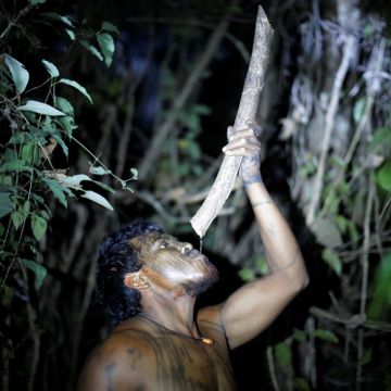 Amazonas-forkjemper drept av ulovlige tømmerhuggere