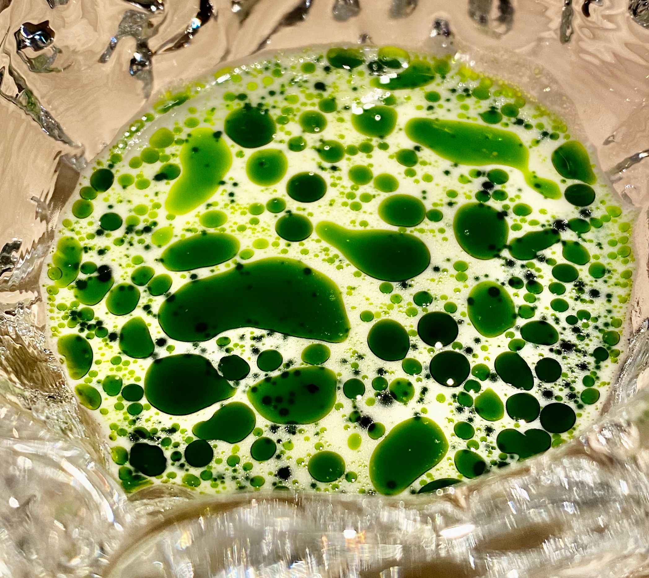 Emolusjon av flatøsters og dillolje er en gammel klassiker. 