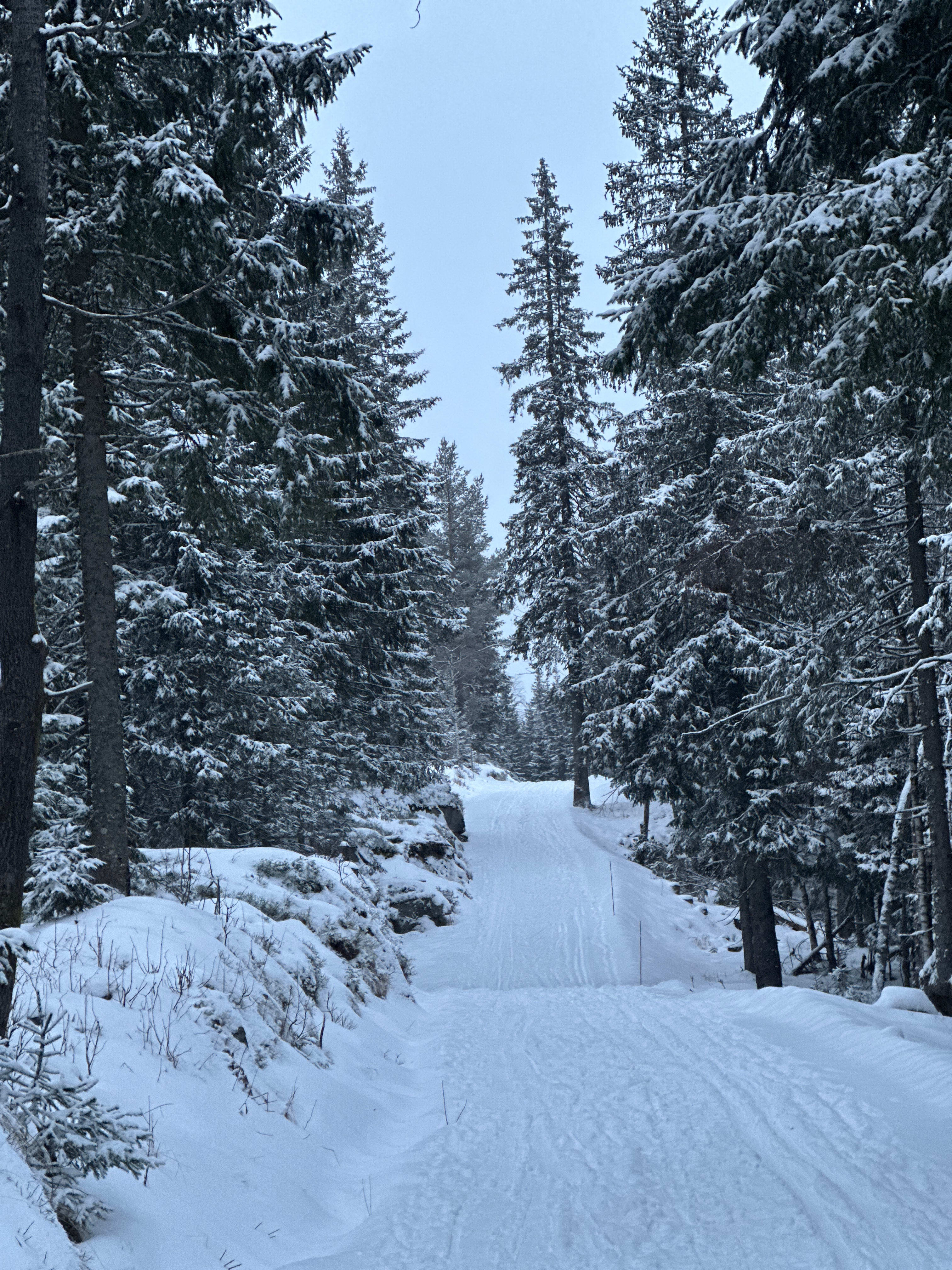 Første nyttårsdag trasket denne skioptimisten fra Frognerseteren til Sognsvann, via Skjennungstua og Ullevålseter. Ikke trikkeskinner, men myk snø, peis, kanelboller og krisp luft for noe smale øyne.