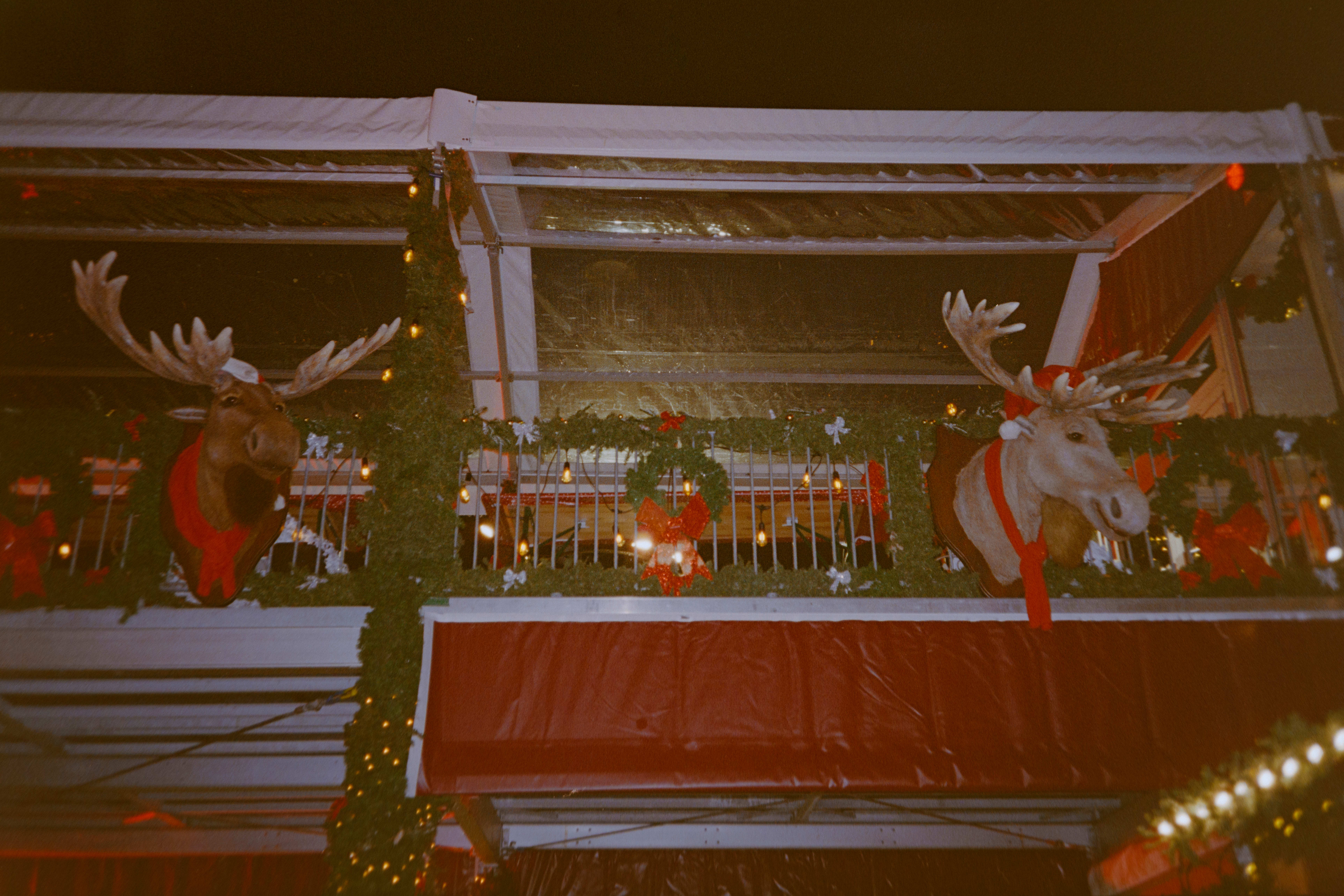 Alfred (t.h.) vitser om da han søkte jobb på sleden til nissen. Han er jo en elg!