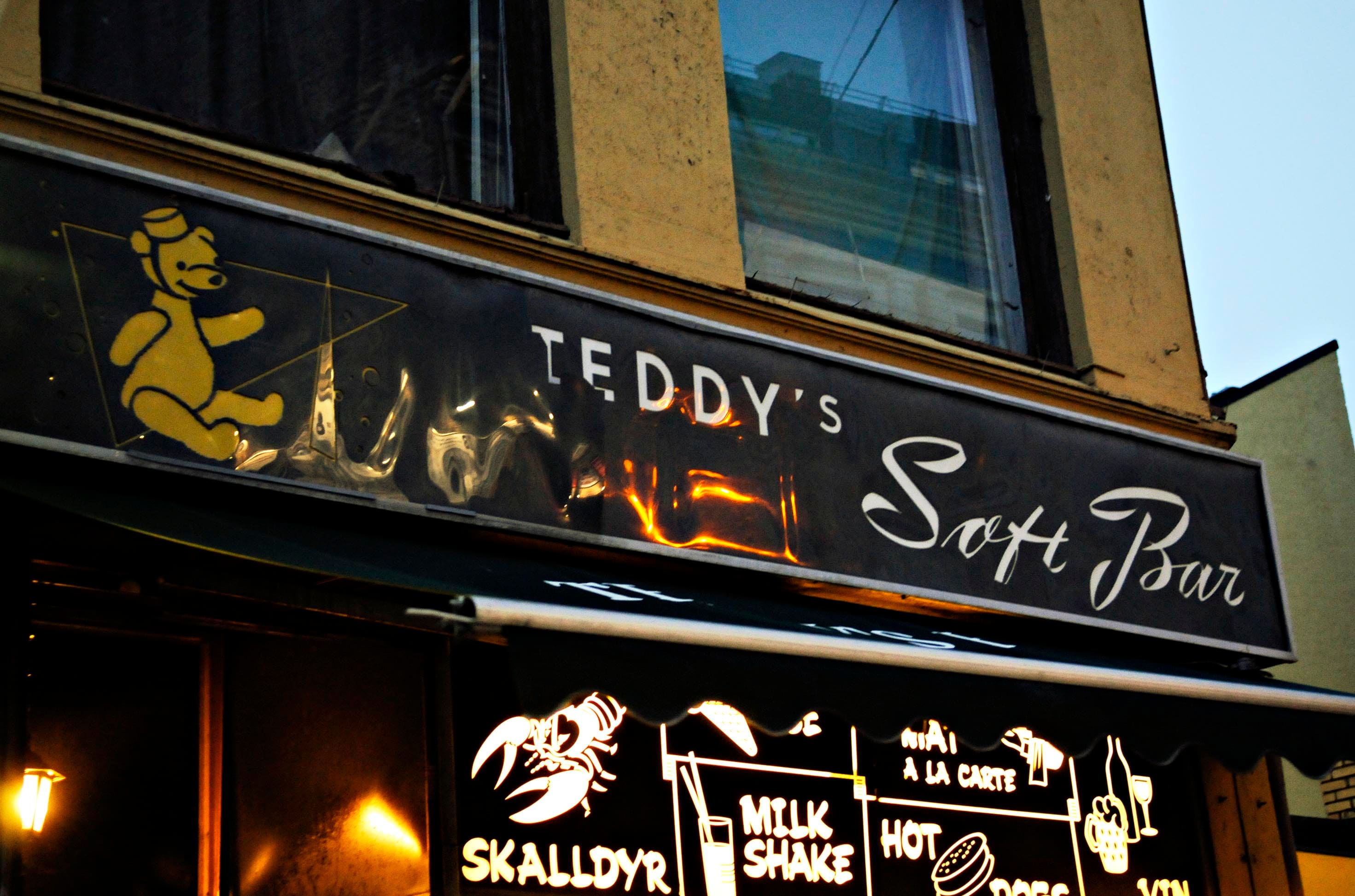 30 brune barer du må vite om i Oslo